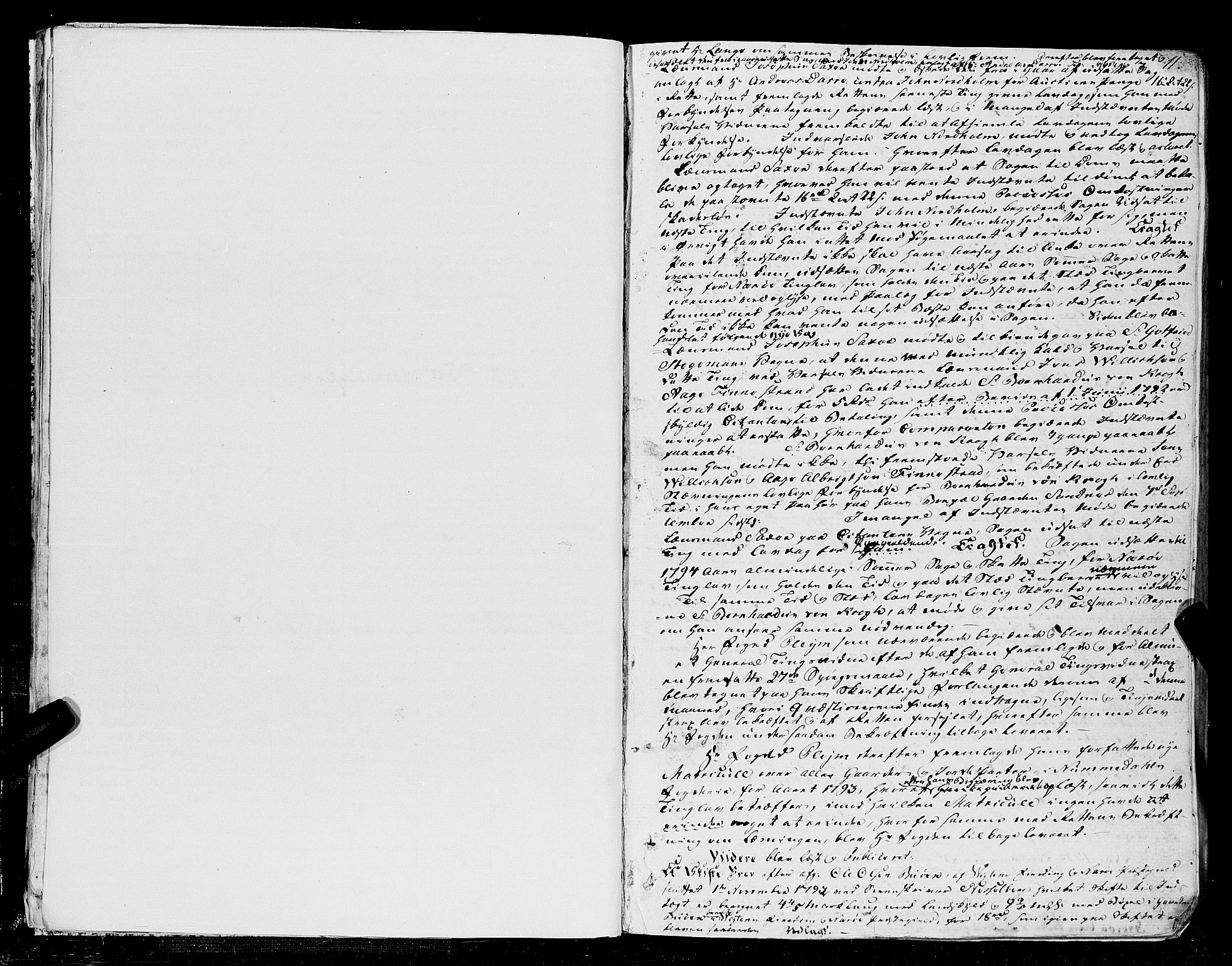 Namdal sorenskriveri, AV/SAT-A-4133/1/1/1A/L0015: Tingbok nr. 15a, 1793-1799, p. 10b-11a