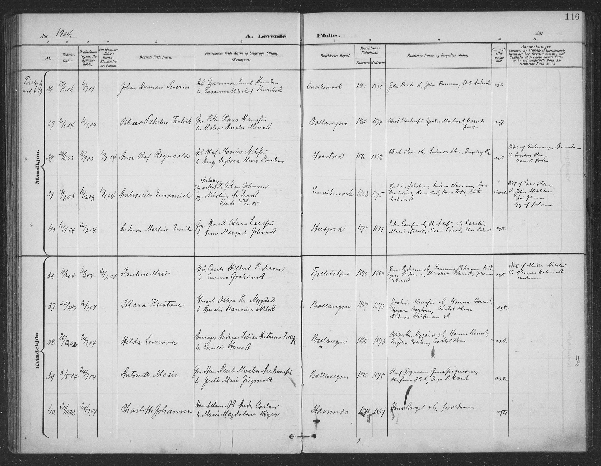 Ministerialprotokoller, klokkerbøker og fødselsregistre - Nordland, AV/SAT-A-1459/863/L0899: Parish register (official) no. 863A11, 1897-1906, p. 116
