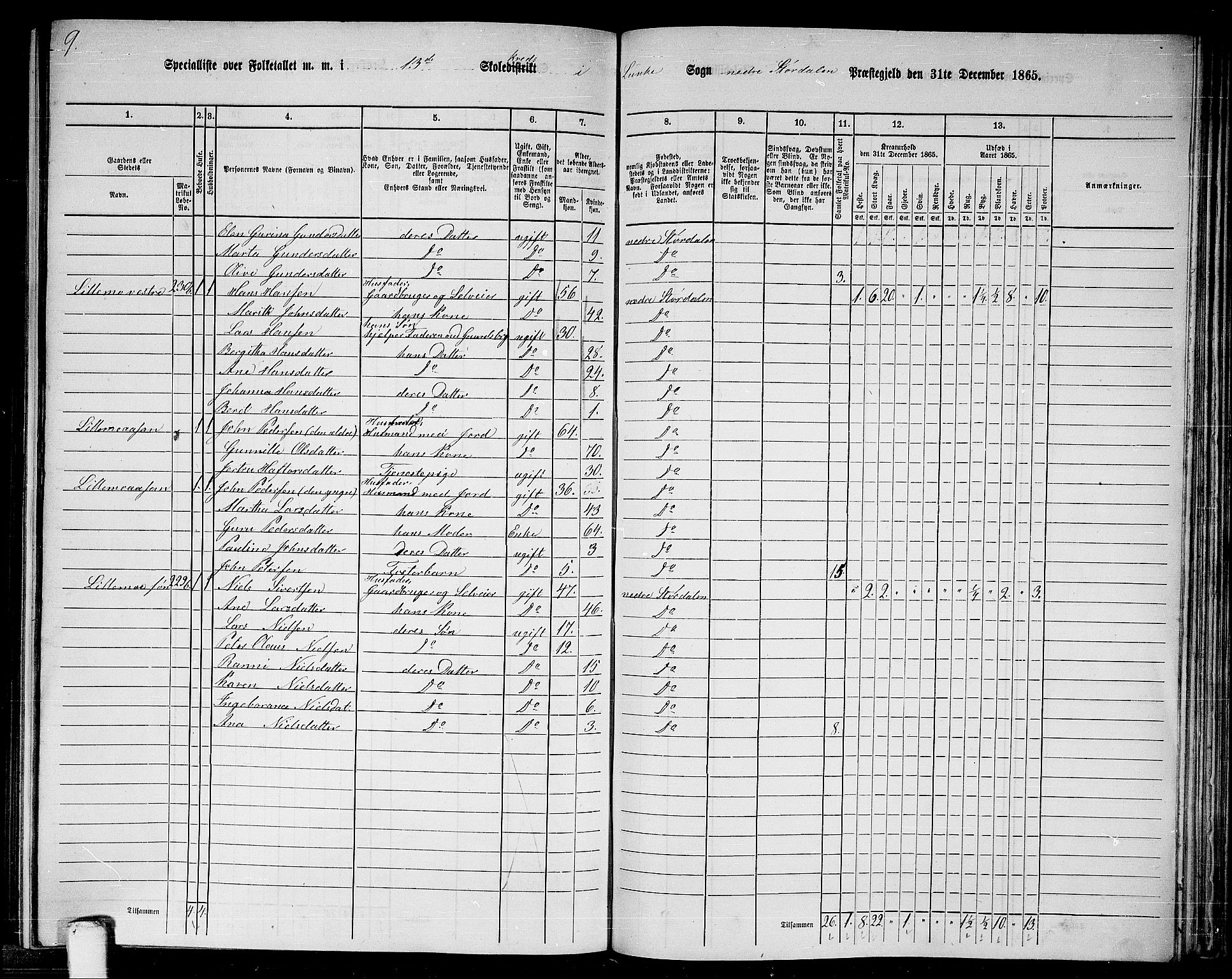 RA, 1865 census for Nedre Stjørdal, 1865, p. 245