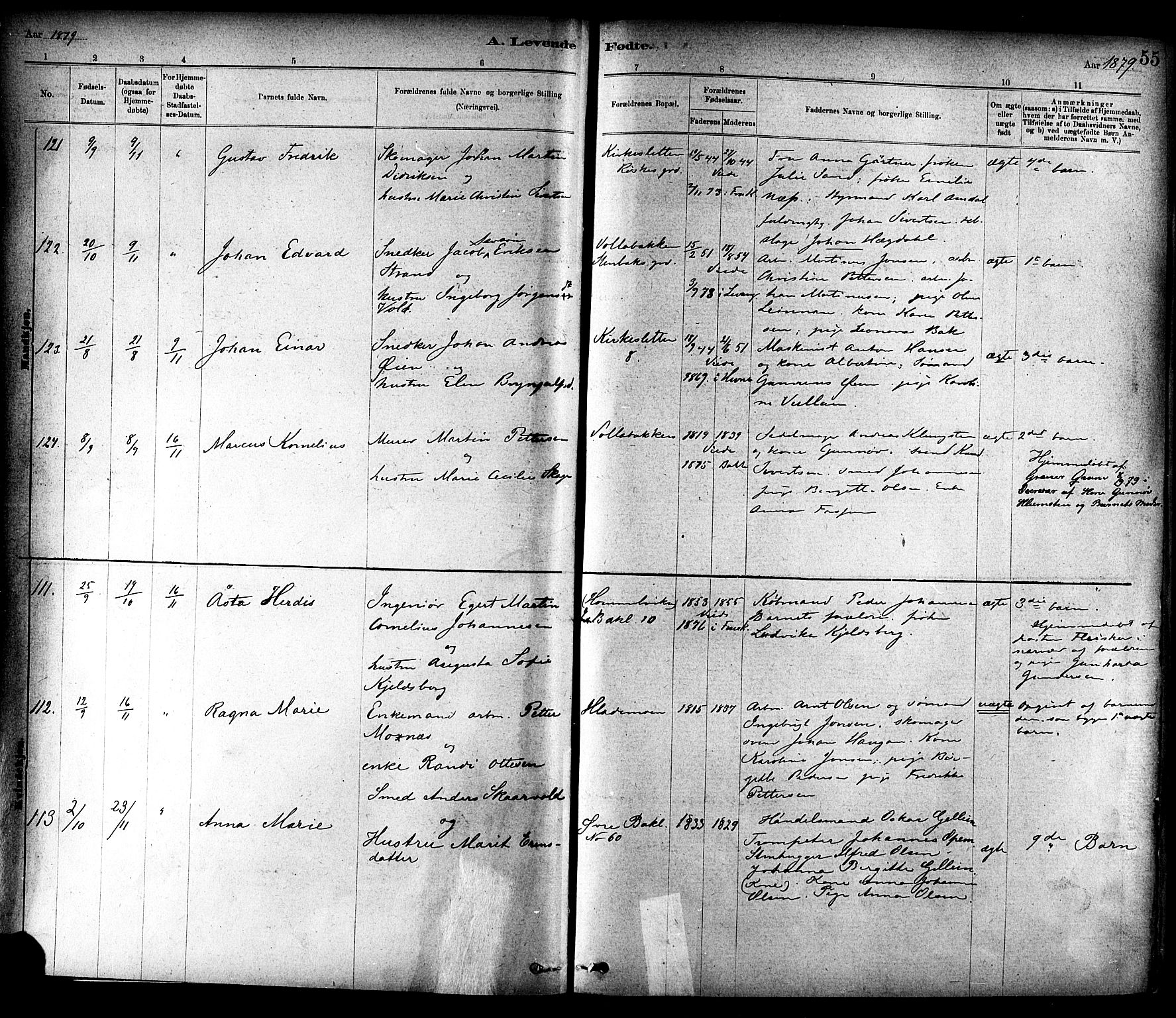 Ministerialprotokoller, klokkerbøker og fødselsregistre - Sør-Trøndelag, AV/SAT-A-1456/604/L0188: Parish register (official) no. 604A09, 1878-1892, p. 55