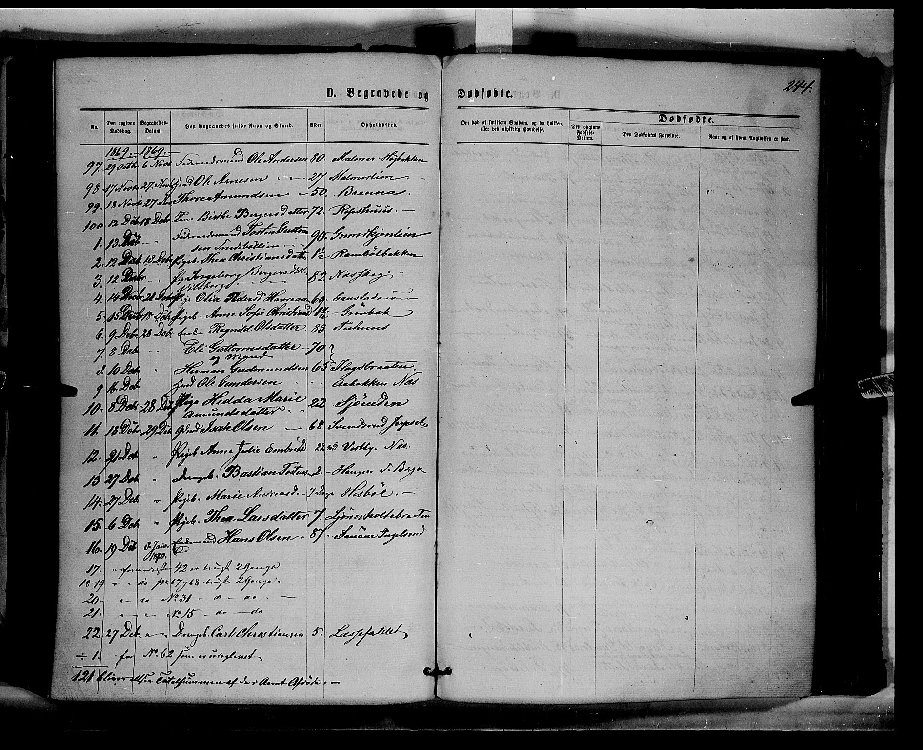 Eidskog prestekontor, AV/SAH-PREST-026/H/Ha/Haa/L0002: Parish register (official) no. 2, 1867-1878, p. 244