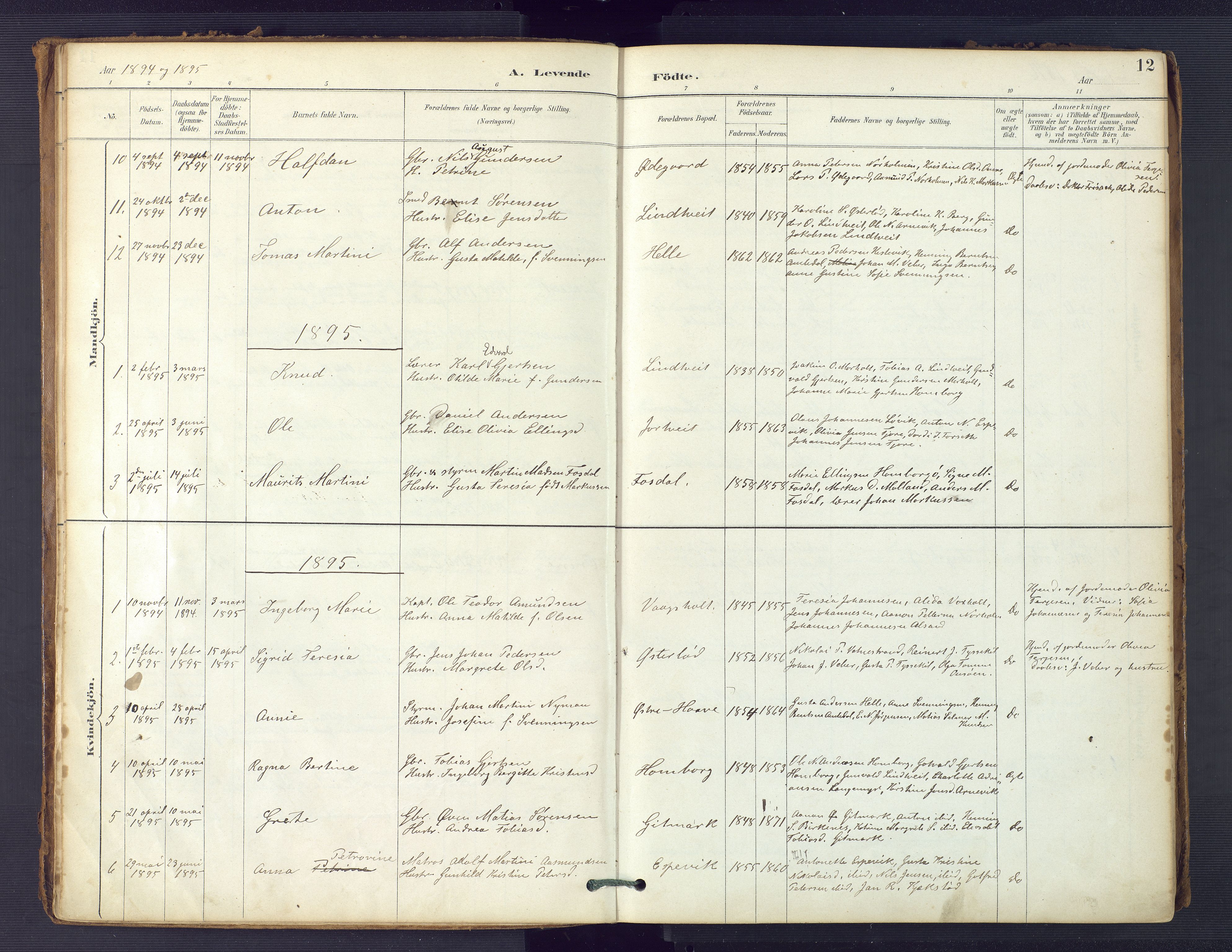 Hommedal sokneprestkontor, SAK/1111-0023/F/Fa/Faa/L0003: Parish register (official) no. A 3, 1885-1916, p. 12