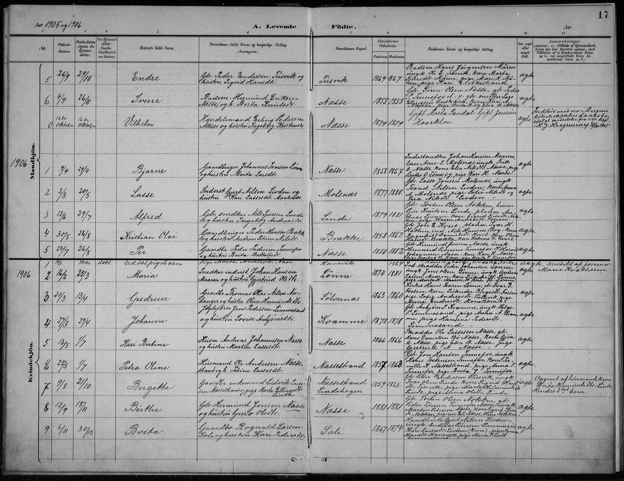 Balestrand sokneprestembete, AV/SAB-A-79601/H/Hab/Habc/L0003: Parish register (copy) no. C 3, 1895-1927, p. 17