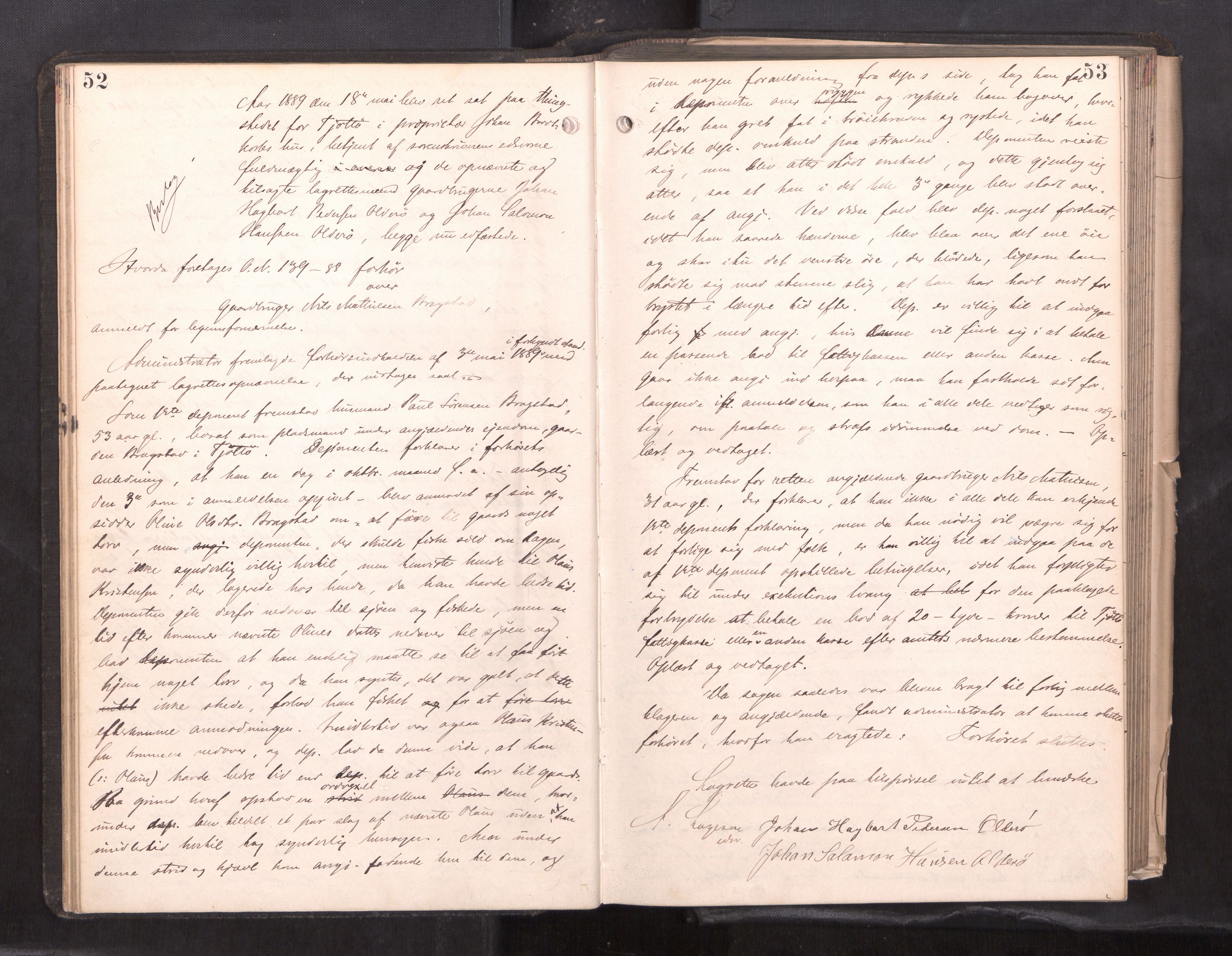 Søndre Helgeland sorenskriveri, AV/SAT-A-4575/1/1/1B/1Ba/L0018: ekstrarettsprotokoll, 1889-1893, p. 52-53