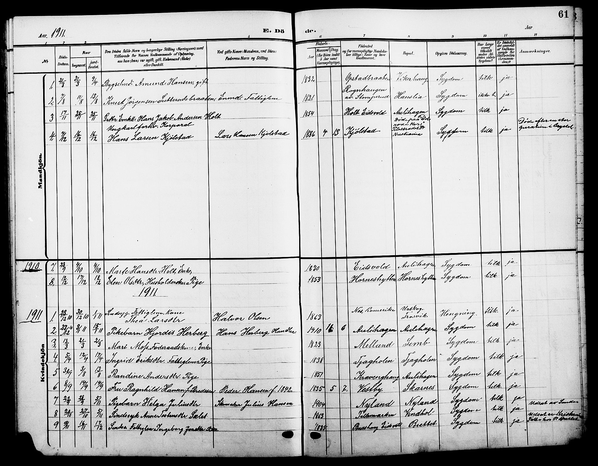 Sør-Odal prestekontor, AV/SAH-PREST-030/H/Ha/Hab/L0006: Parish register (copy) no. 6, 1906-1919, p. 61