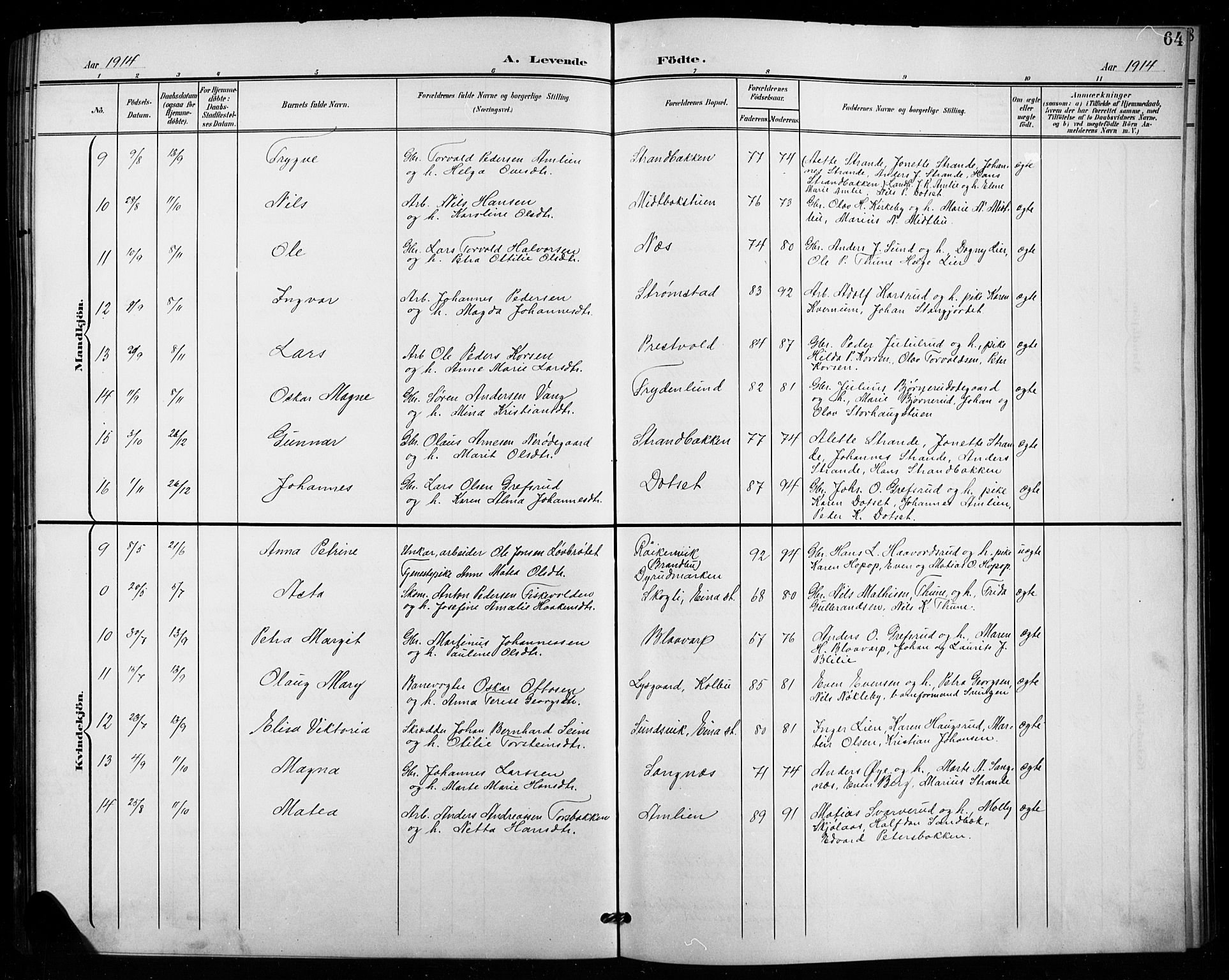 Vestre Toten prestekontor, SAH/PREST-108/H/Ha/Hab/L0016: Parish register (copy) no. 16, 1901-1915, p. 64