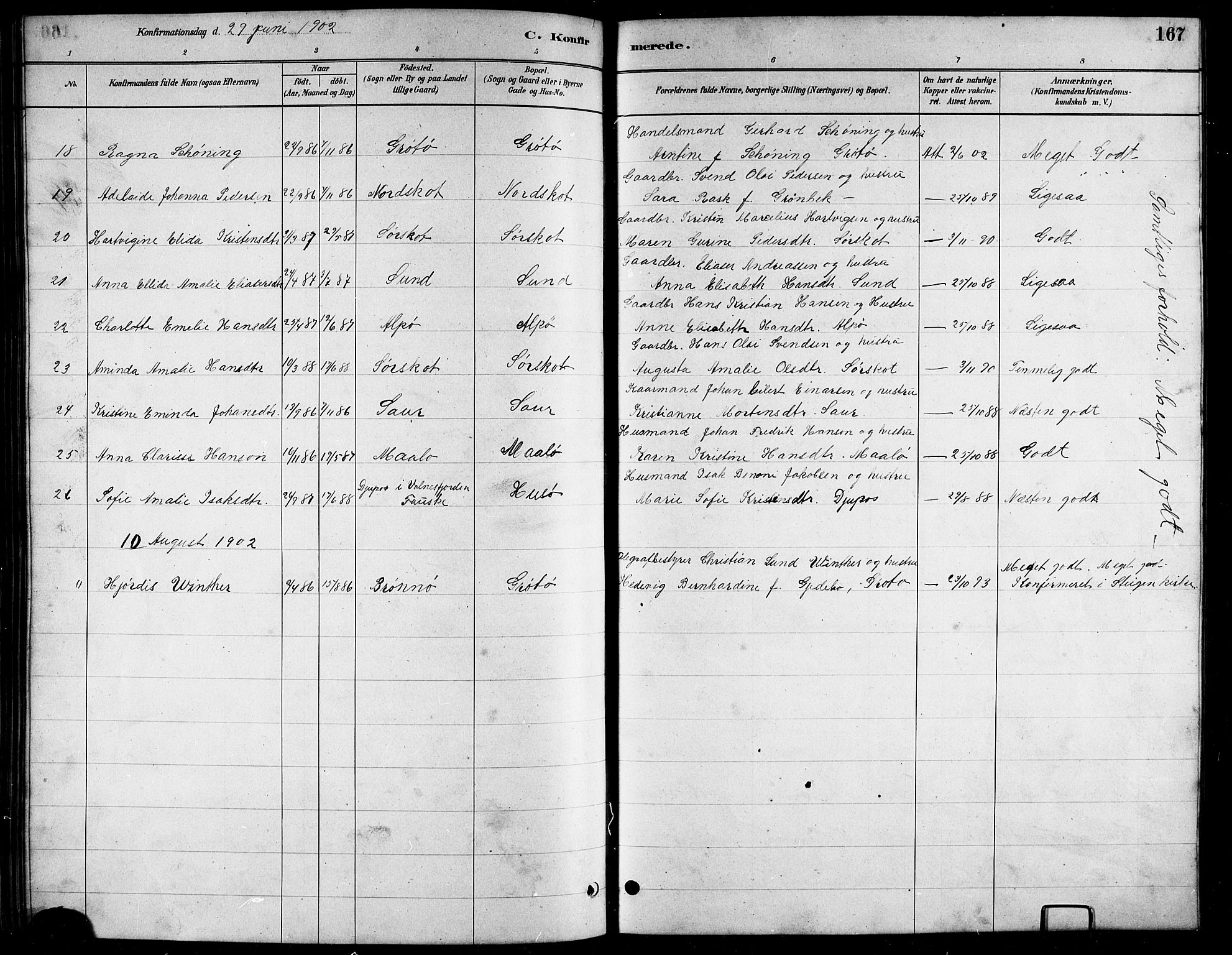 Ministerialprotokoller, klokkerbøker og fødselsregistre - Nordland, AV/SAT-A-1459/857/L0828: Parish register (copy) no. 857C03, 1879-1908, p. 167