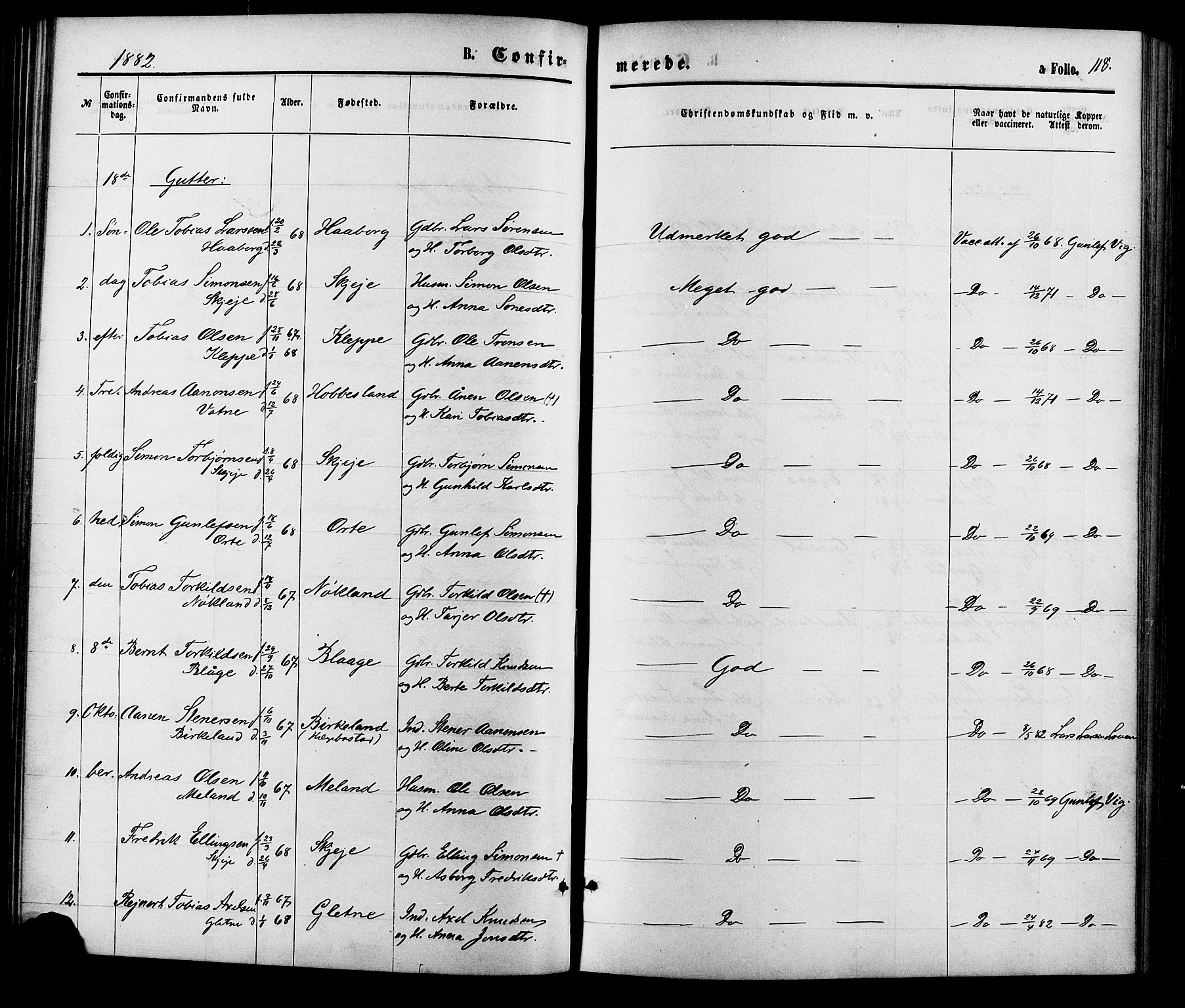 Hægebostad sokneprestkontor, SAK/1111-0024/F/Fa/Fab/L0003: Parish register (official) no. A 3, 1872-1886, p. 118