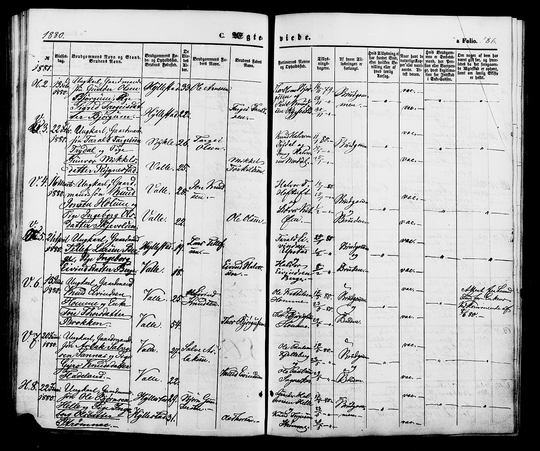 Valle sokneprestkontor, SAK/1111-0044/F/Fa/Fac/L0008: Parish register (official) no. A 8, 1868-1882, p. 186