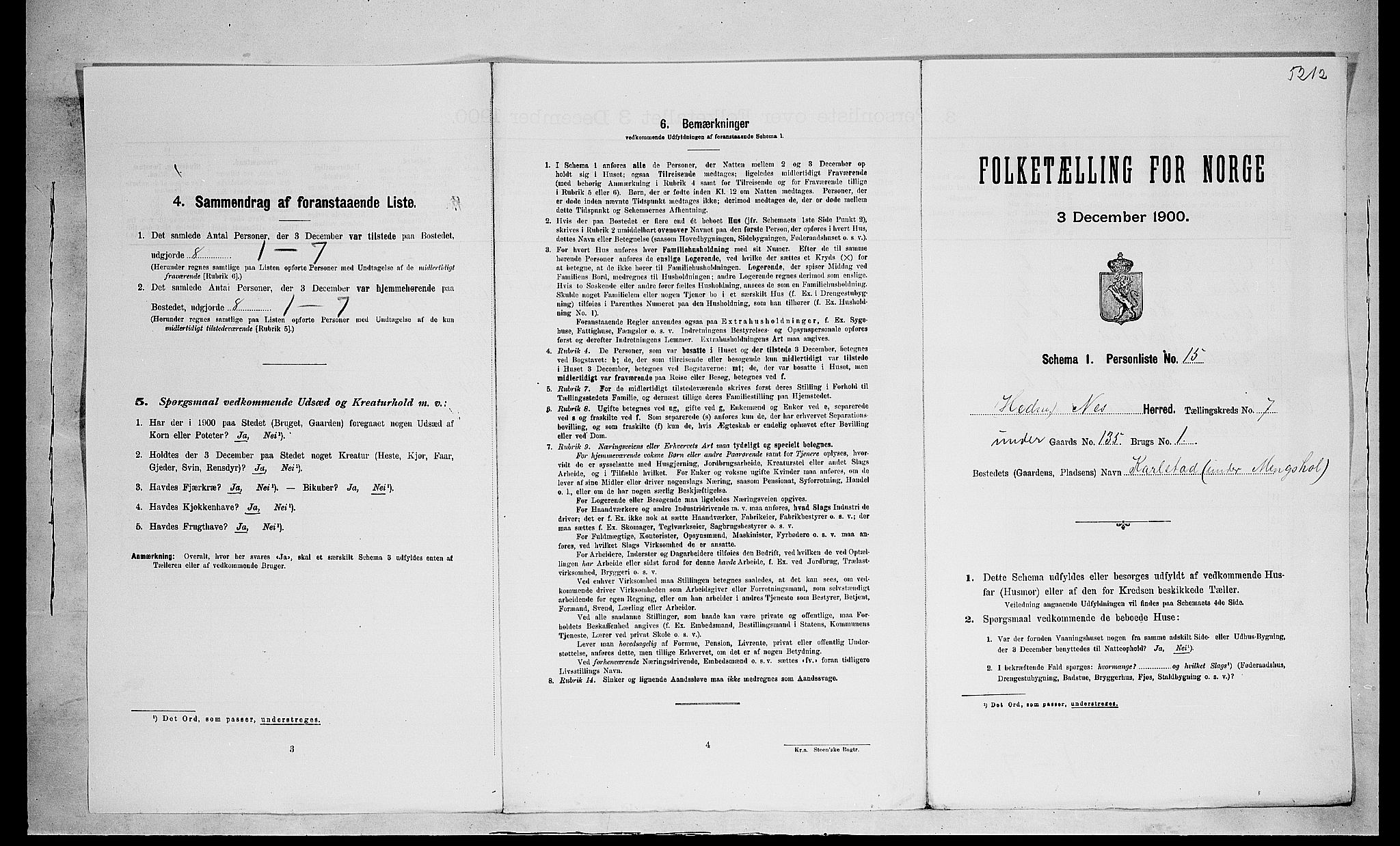 SAH, 1900 census for Nes, 1900, p. 1044