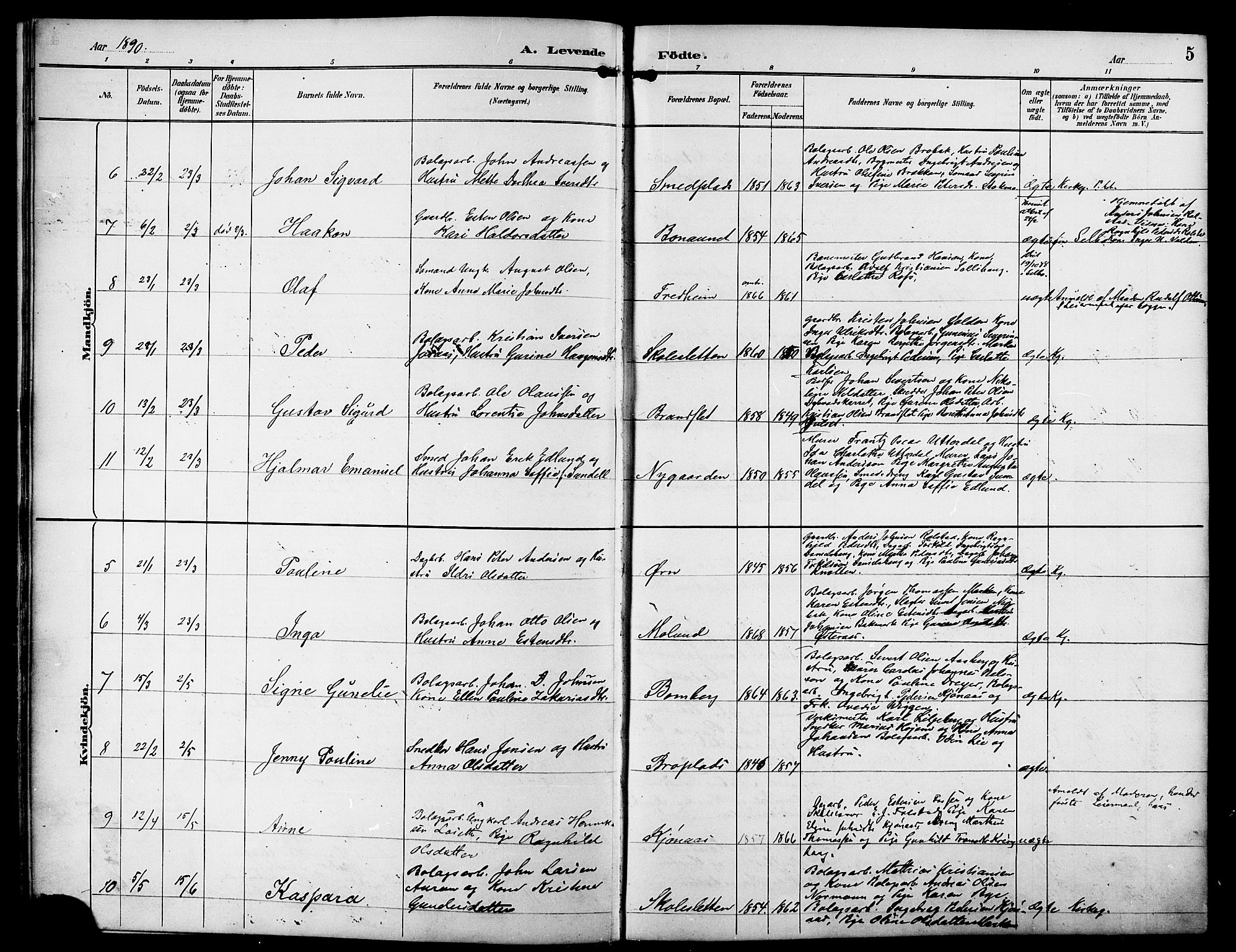 Ministerialprotokoller, klokkerbøker og fødselsregistre - Sør-Trøndelag, SAT/A-1456/617/L0431: Parish register (copy) no. 617C01, 1889-1910, p. 5