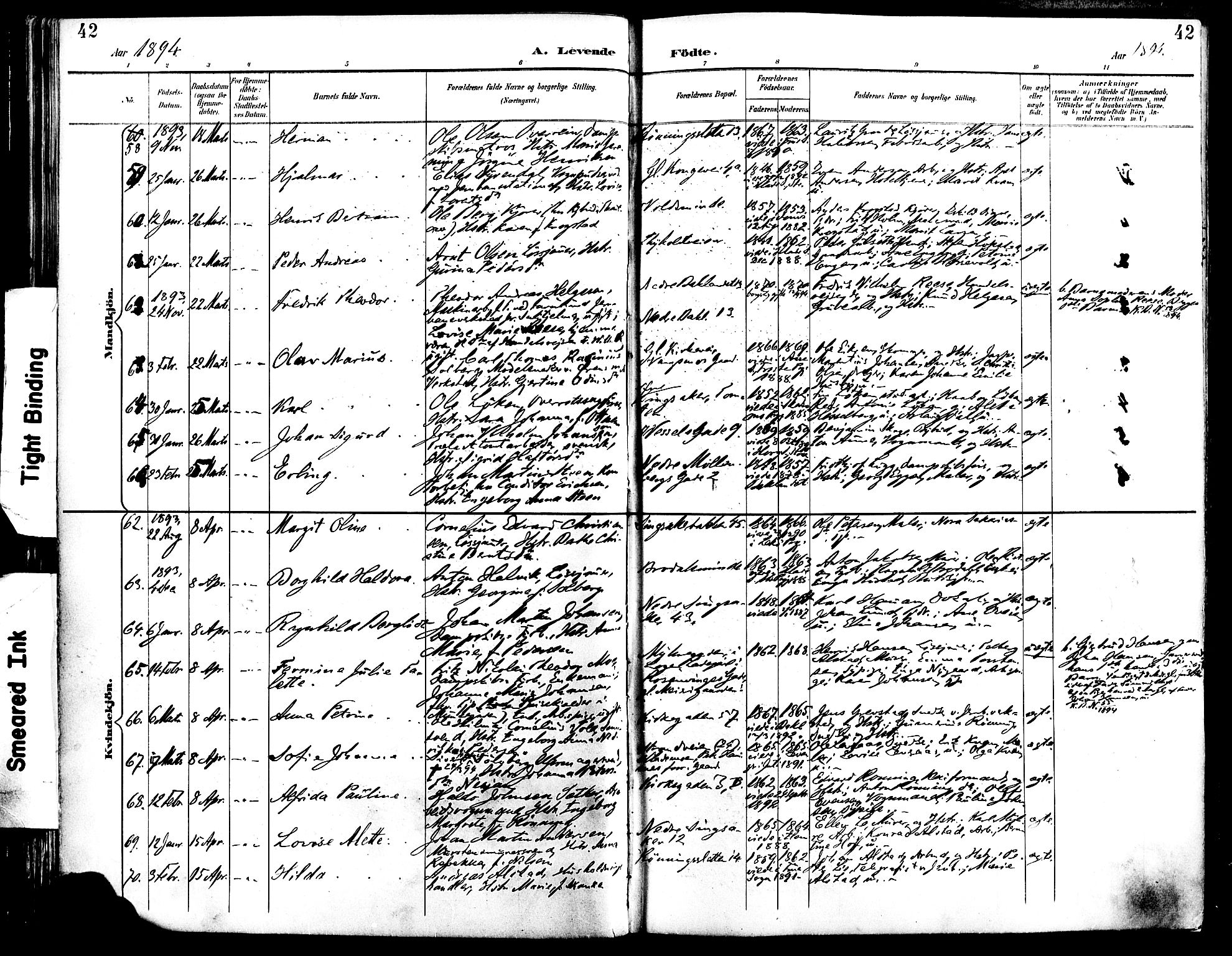 Ministerialprotokoller, klokkerbøker og fødselsregistre - Sør-Trøndelag, SAT/A-1456/604/L0197: Parish register (official) no. 604A18, 1893-1900, p. 42
