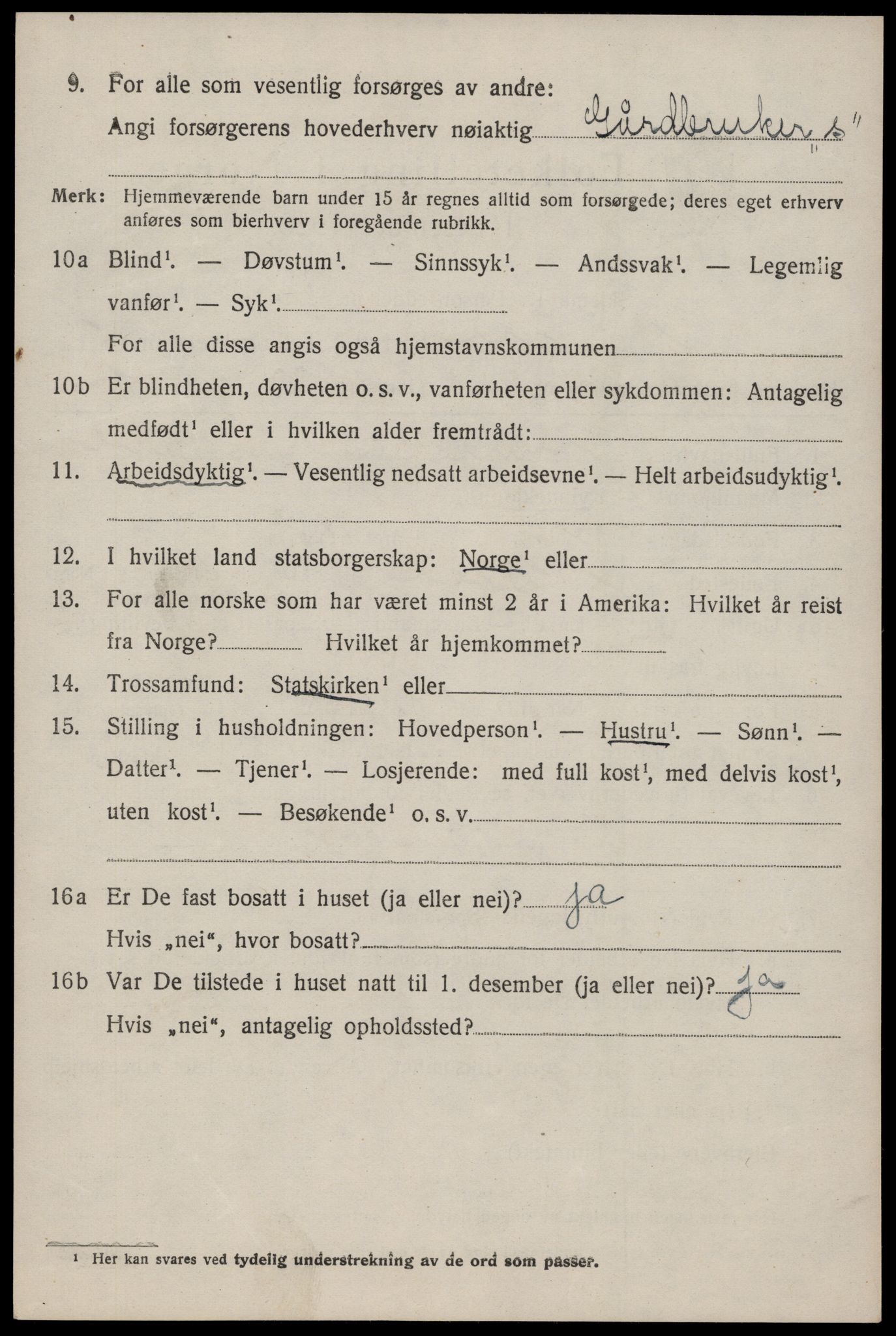 SAKO, 1920 census for Nissedal, 1920, p. 2062