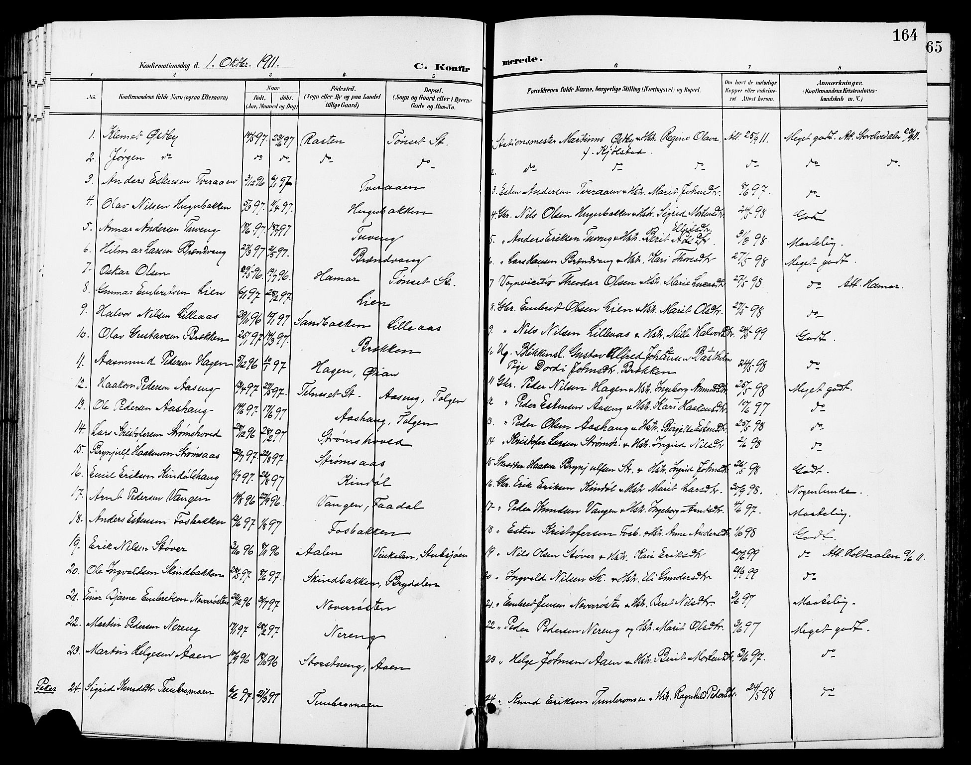Tynset prestekontor, AV/SAH-PREST-058/H/Ha/Hab/L0009: Parish register (copy) no. 9, 1900-1914, p. 164
