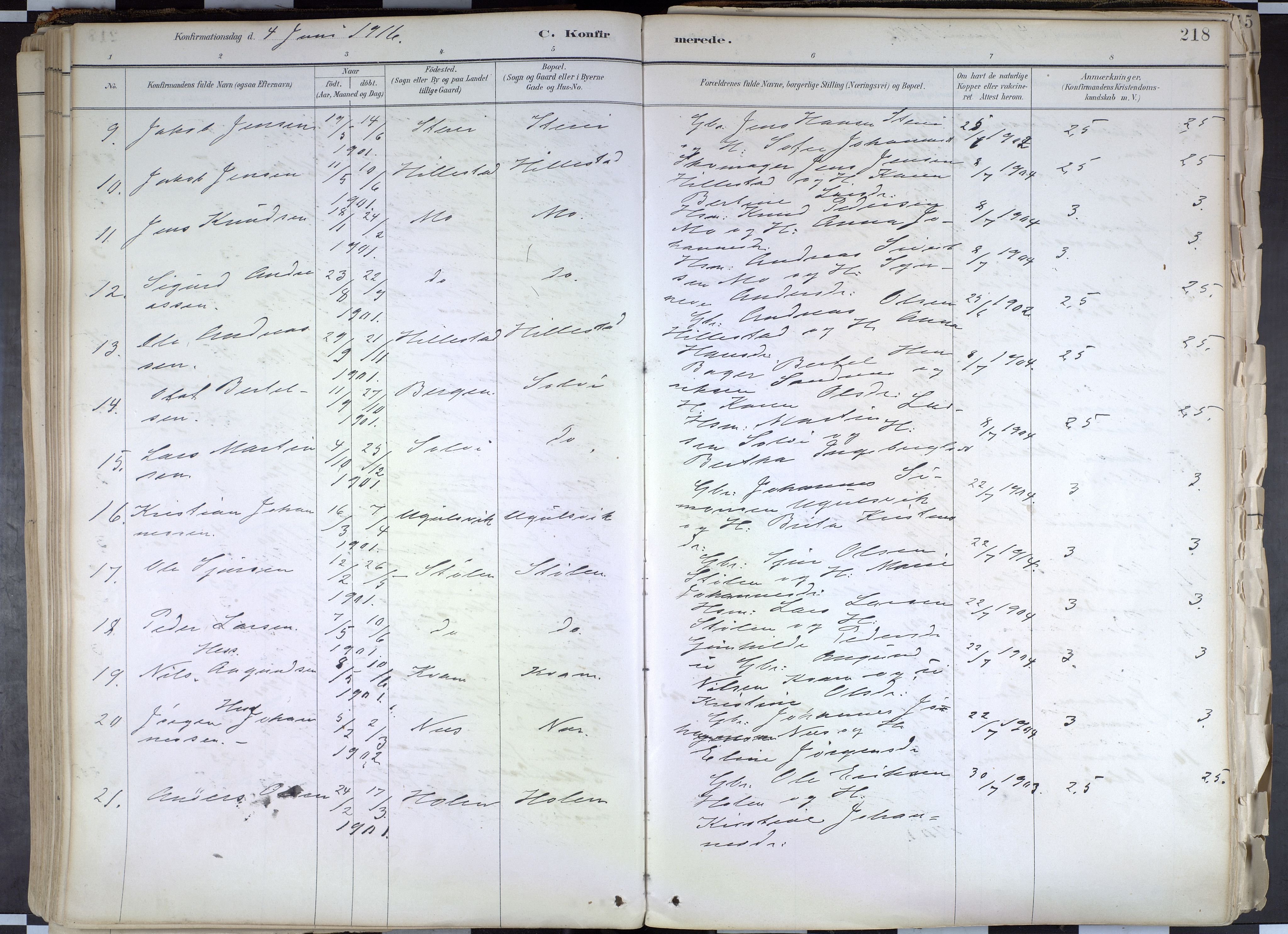 Hafslo sokneprestembete, AV/SAB-A-80301/H/Haa/Haab/L0001: Parish register (official) no. B 1, 1886-1945, p. 218