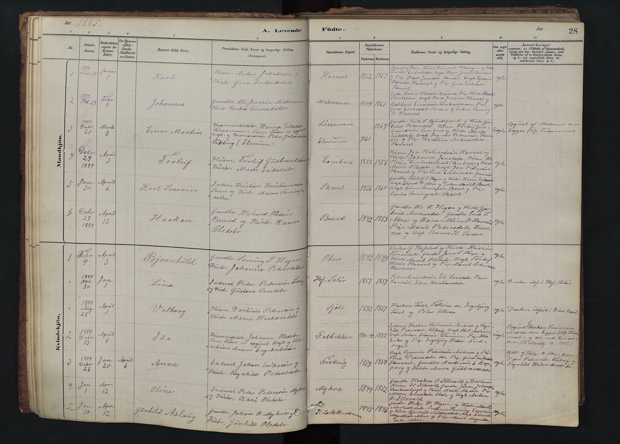 Rendalen prestekontor, SAH/PREST-054/H/Ha/Hab/L0009: Parish register (copy) no. 9, 1879-1902, p. 28