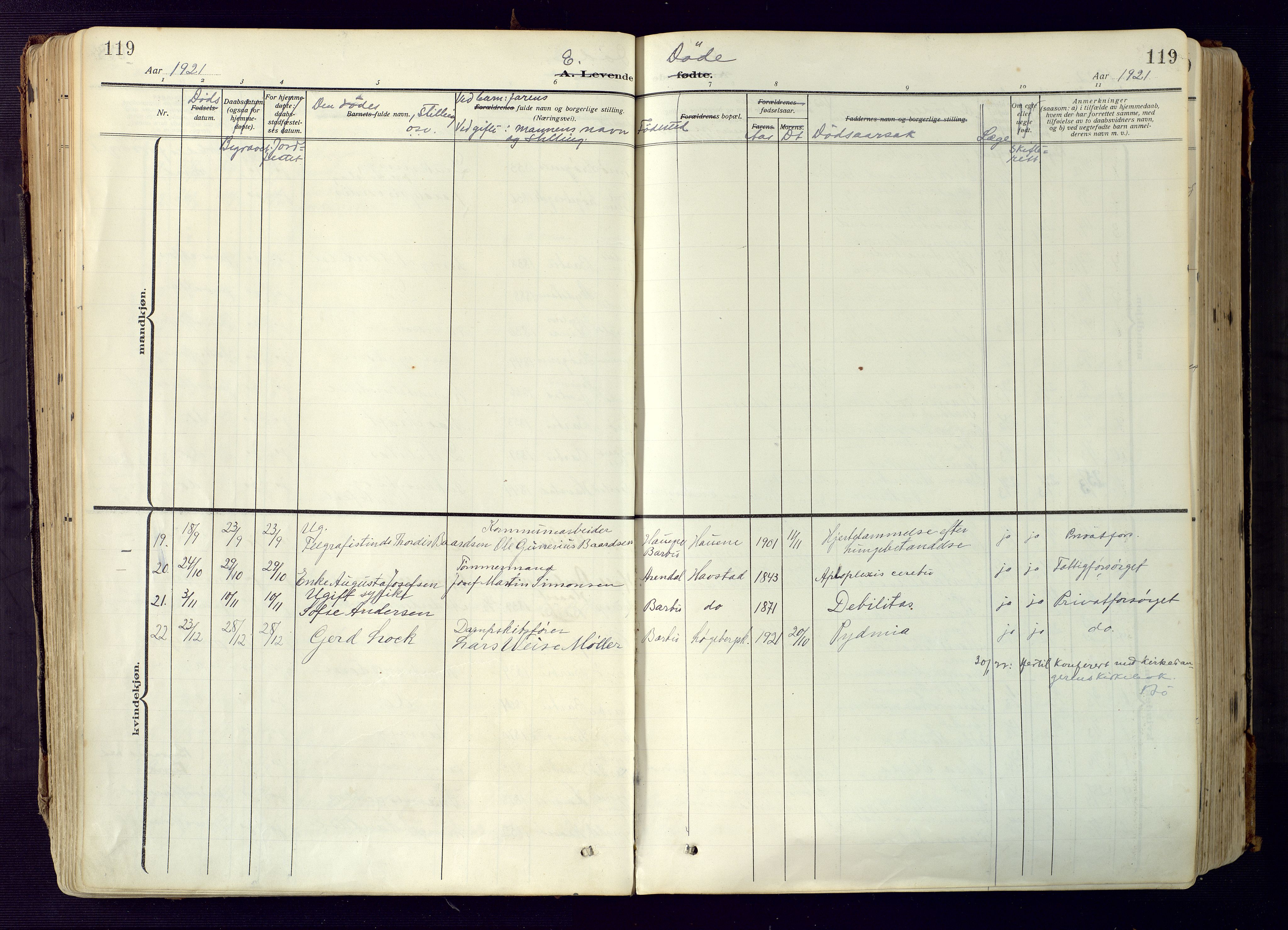 Barbu sokneprestkontor, SAK/1111-0003/F/Fa/L0006: Parish register (official) no. A 6, 1910-1929, p. 119