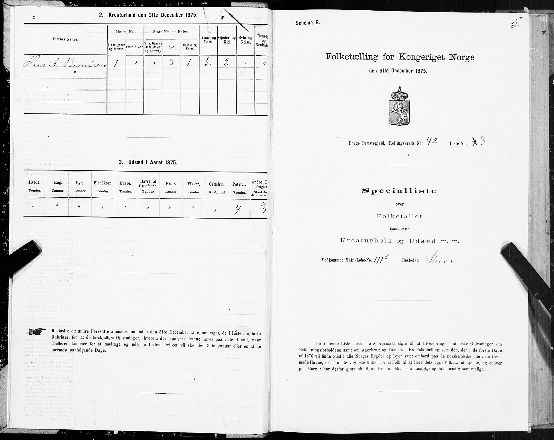 SAT, 1875 census for 1862P Borge, 1875, p. 3005