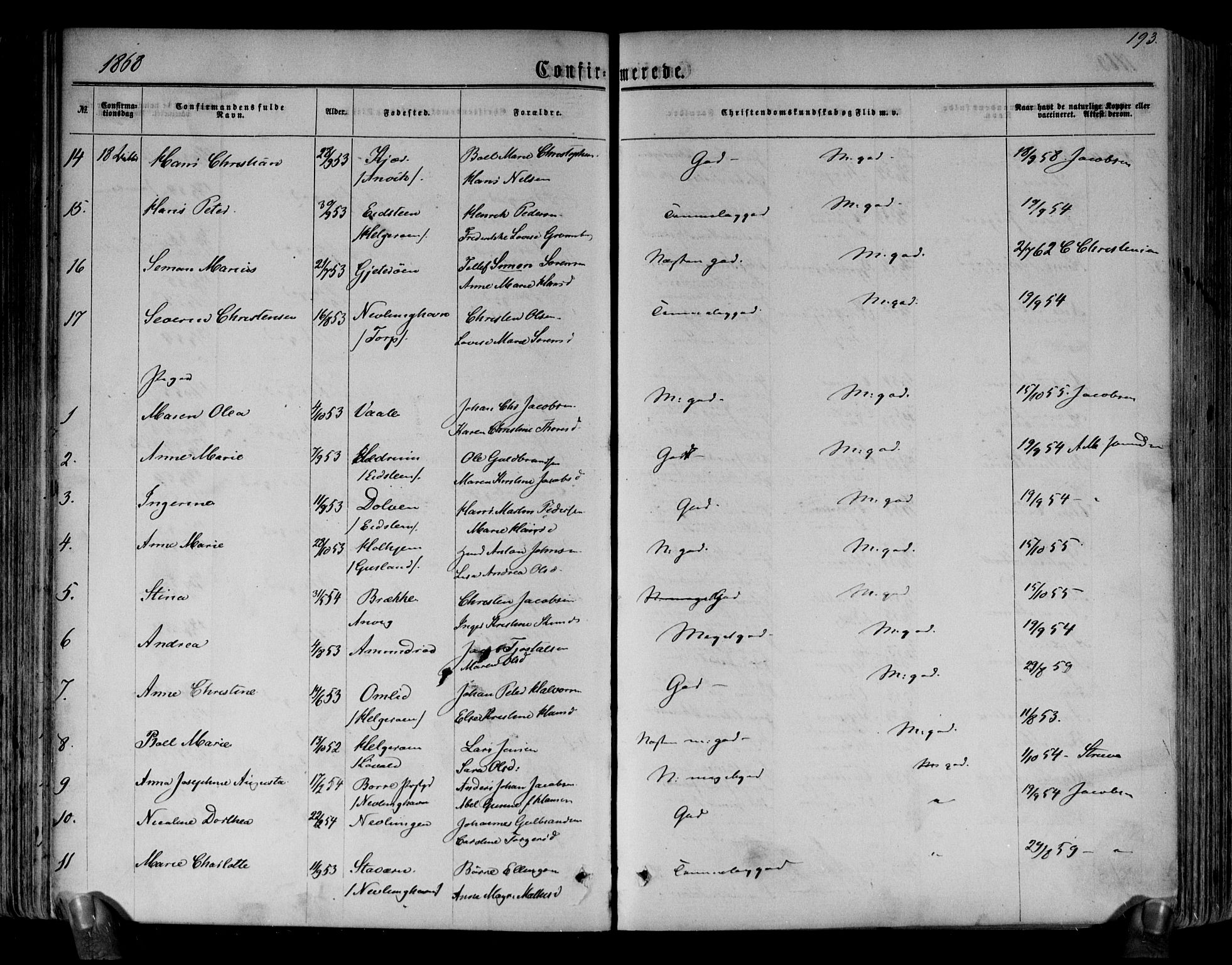 Brunlanes kirkebøker, SAKO/A-342/F/Fa/L0005: Parish register (official) no. I 5, 1862-1877, p. 193