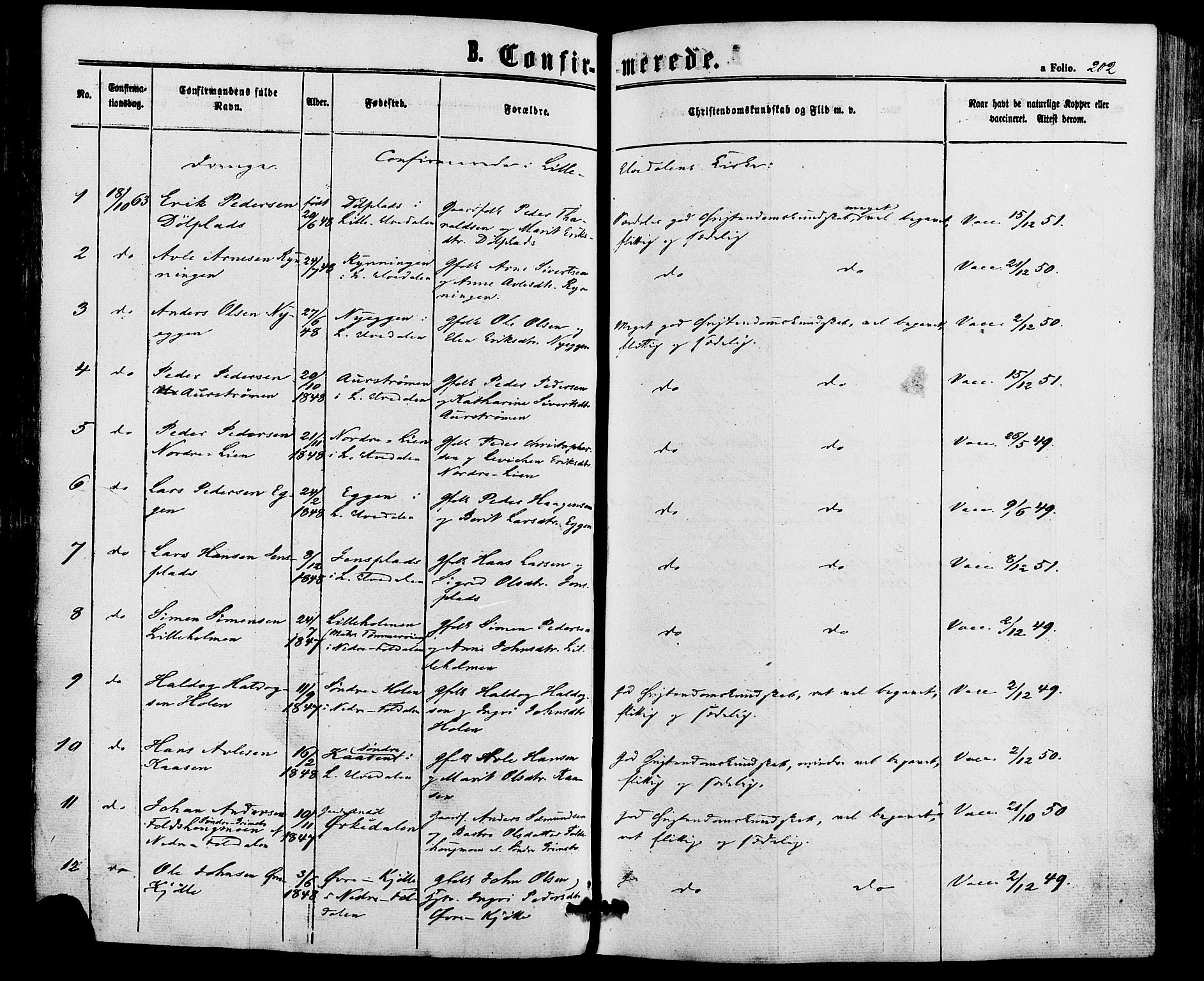 Alvdal prestekontor, AV/SAH-PREST-060/H/Ha/Haa/L0001: Parish register (official) no. 1, 1863-1882, p. 202