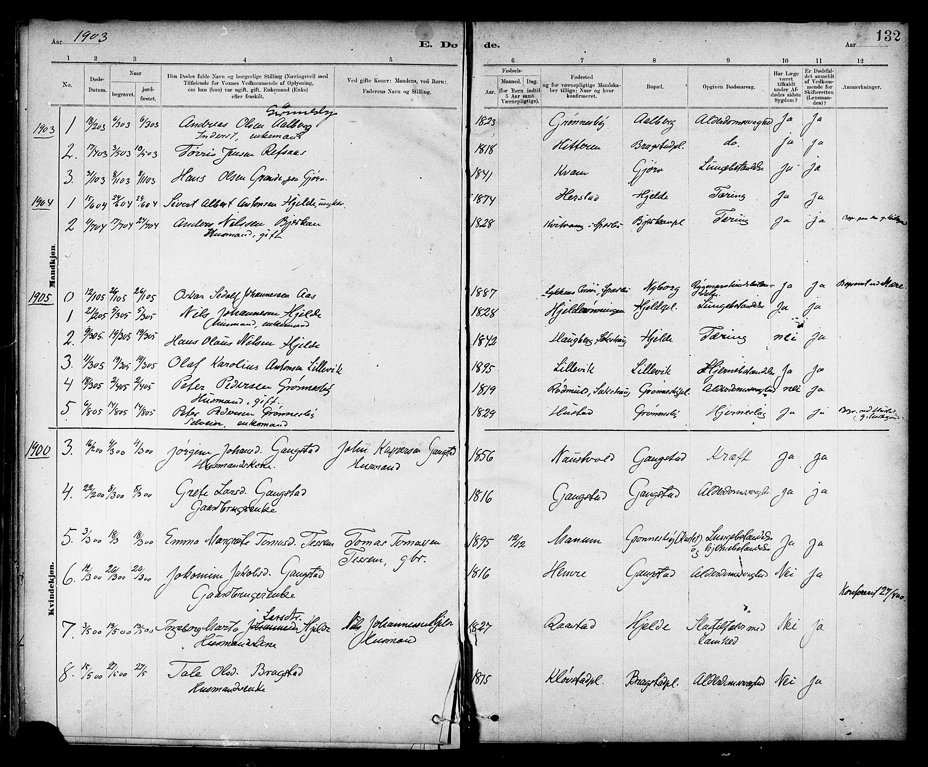 Ministerialprotokoller, klokkerbøker og fødselsregistre - Nord-Trøndelag, AV/SAT-A-1458/732/L0318: Parish register (copy) no. 732C02, 1881-1911, p. 132