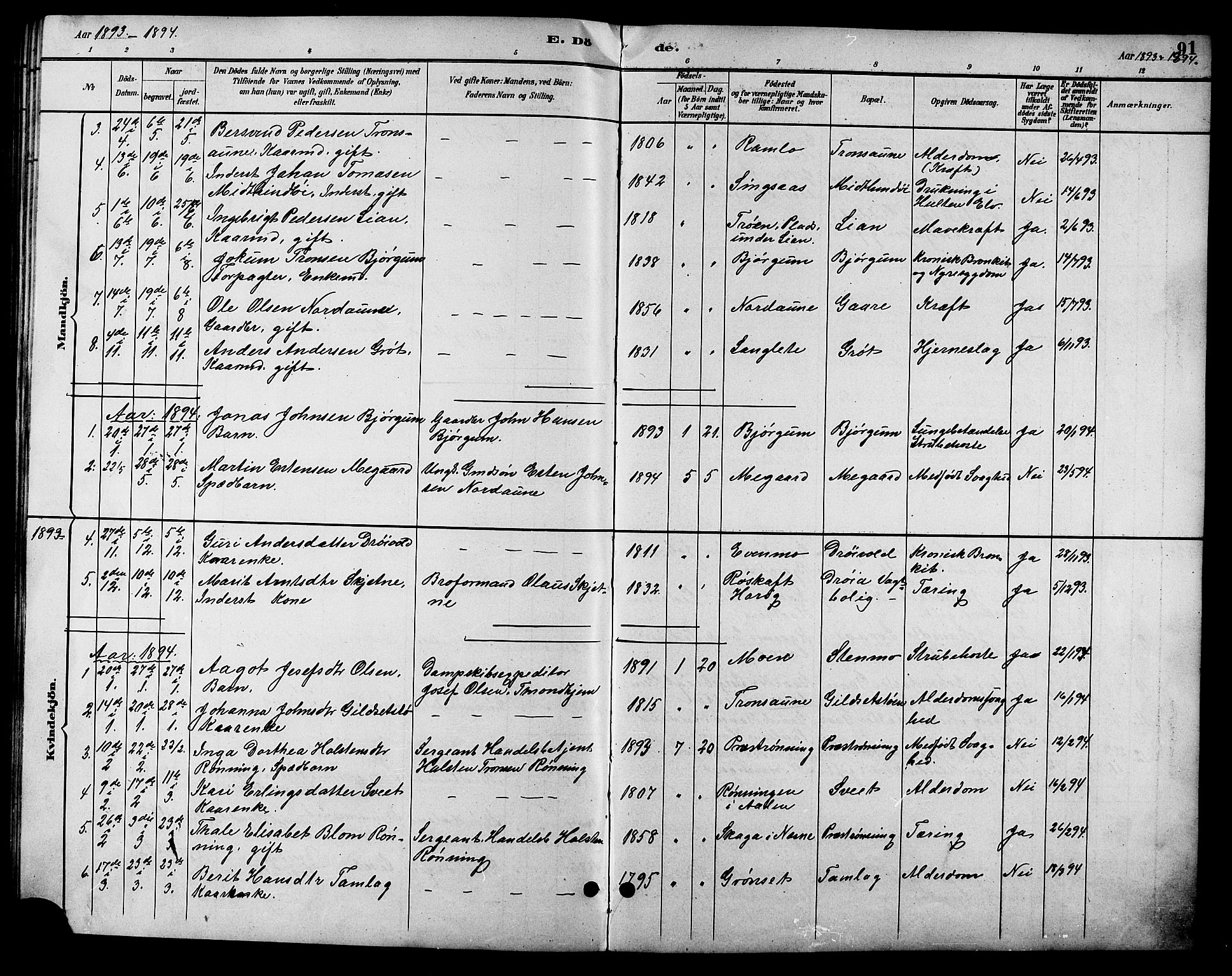 Ministerialprotokoller, klokkerbøker og fødselsregistre - Sør-Trøndelag, SAT/A-1456/685/L0978: Parish register (copy) no. 685C03, 1891-1907, p. 91