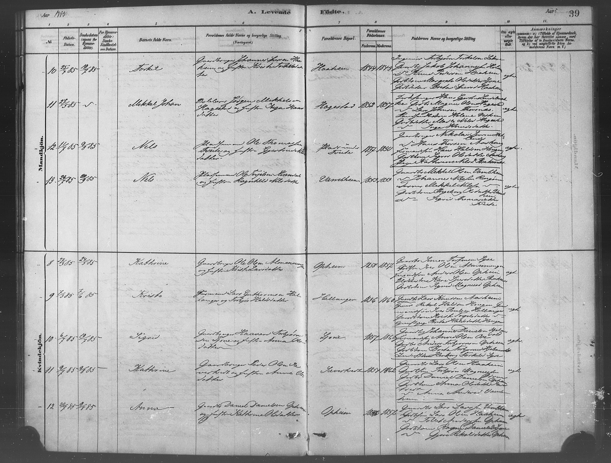 Ulvik sokneprestembete, AV/SAB-A-78801/H/Haa: Parish register (official) no. B 1, 1878-1897, p. 39