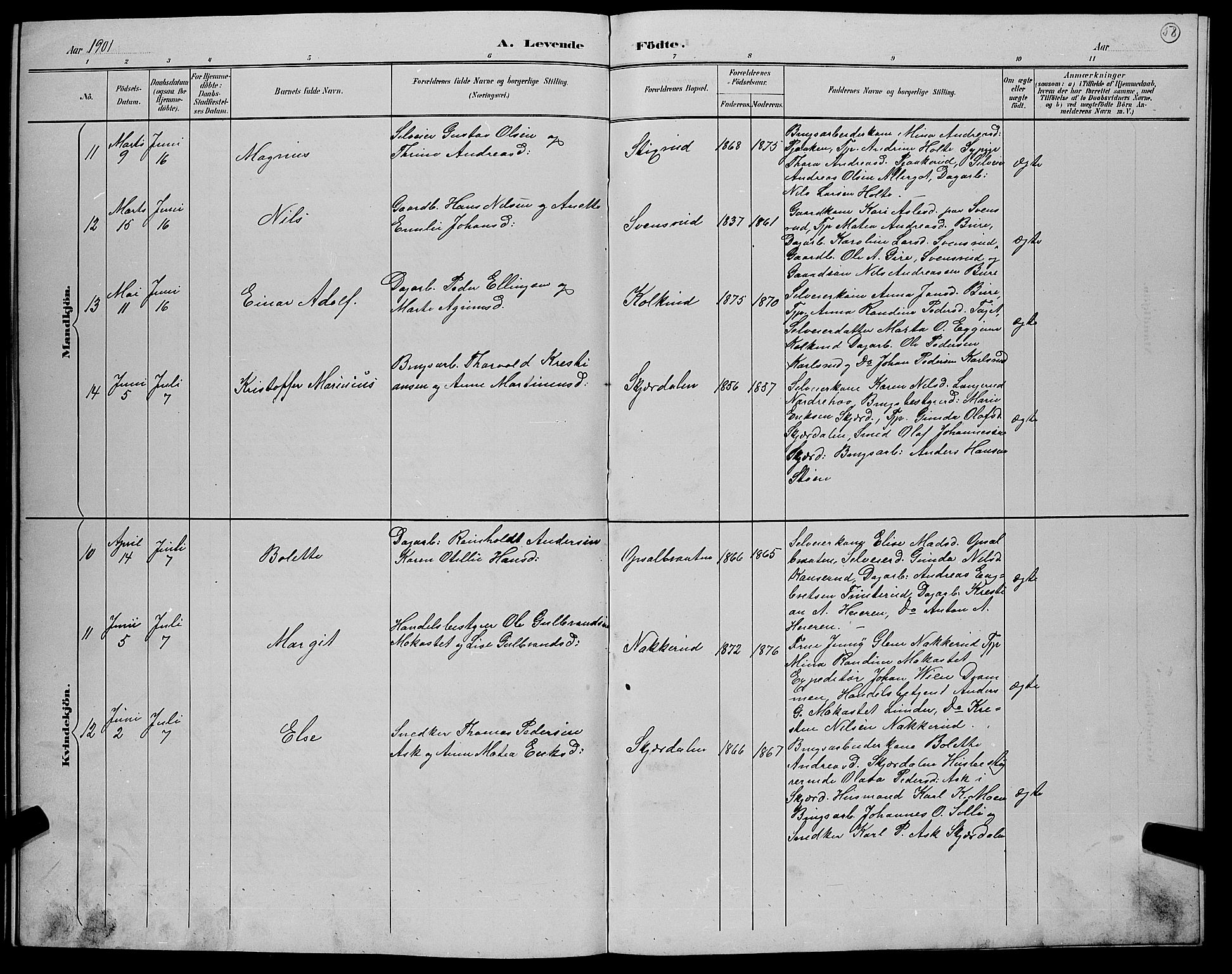 Hole kirkebøker, AV/SAKO-A-228/G/Gb/L0003: Parish register (copy) no. II 3, 1890-1901, p. 58