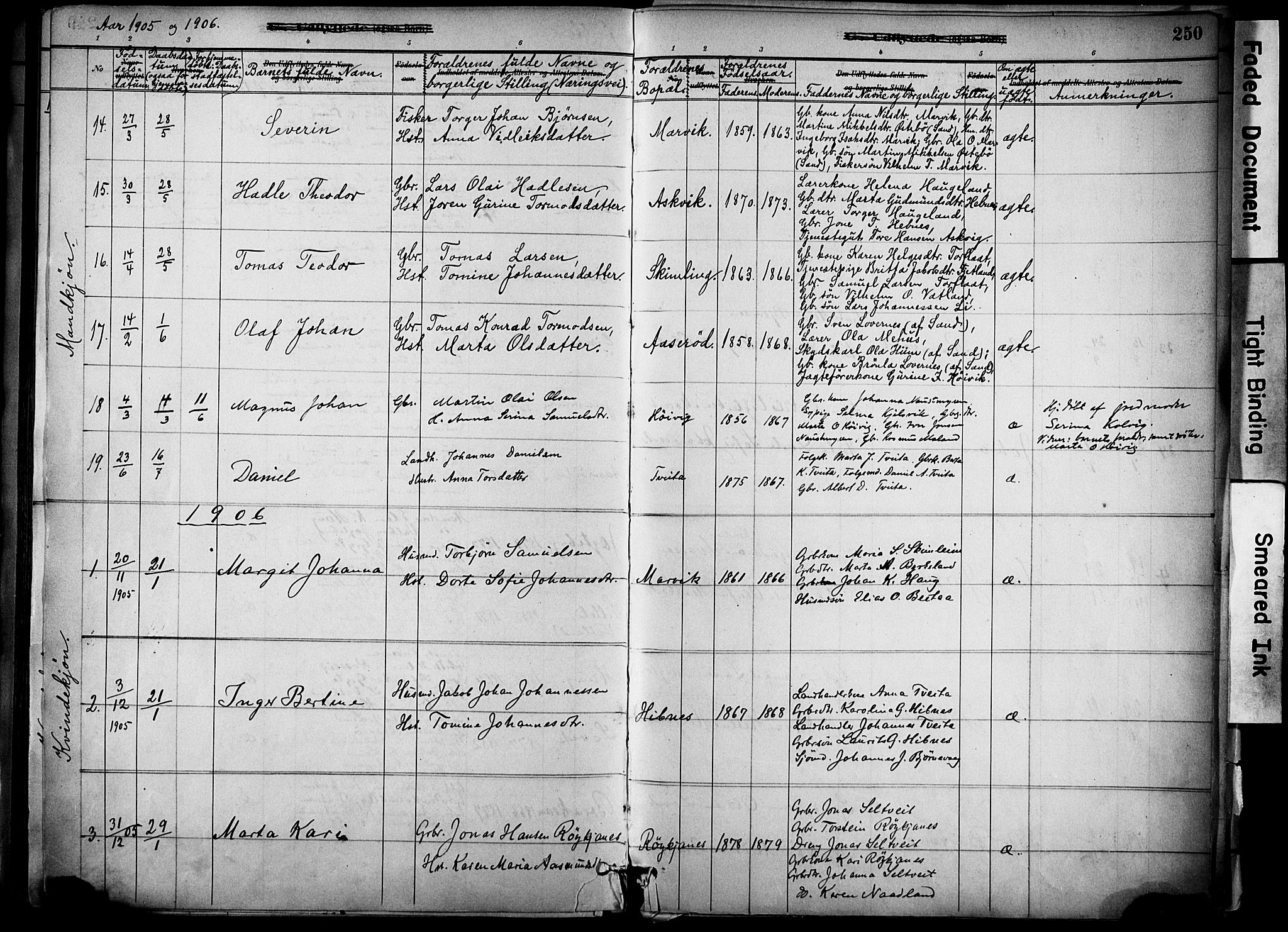Jelsa sokneprestkontor, SAST/A-101842/01/IV: Parish register (official) no. A 10, 1884-1906, p. 250