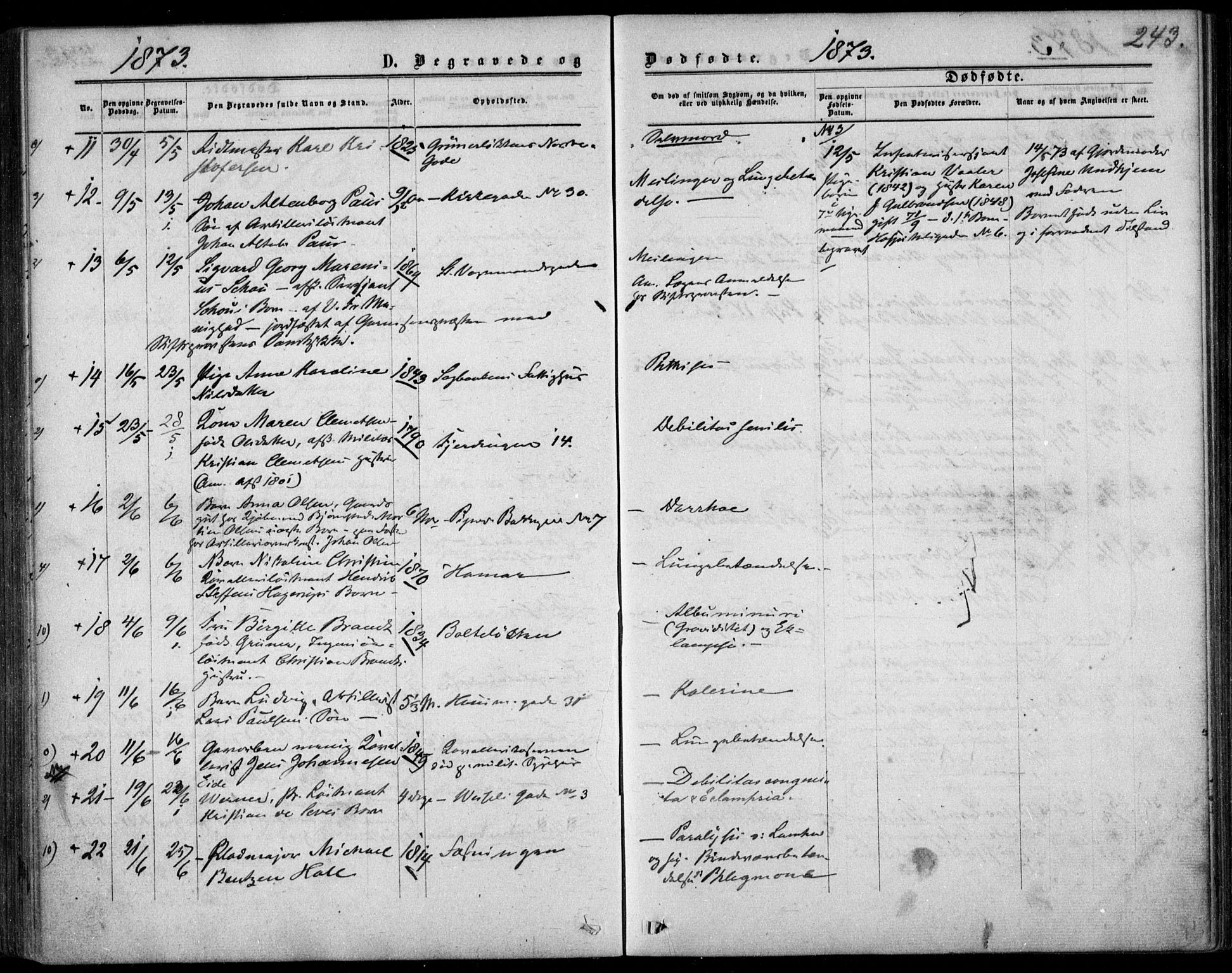 Garnisonsmenigheten Kirkebøker, AV/SAO-A-10846/F/Fa/L0011: Parish register (official) no. 11, 1870-1880, p. 243