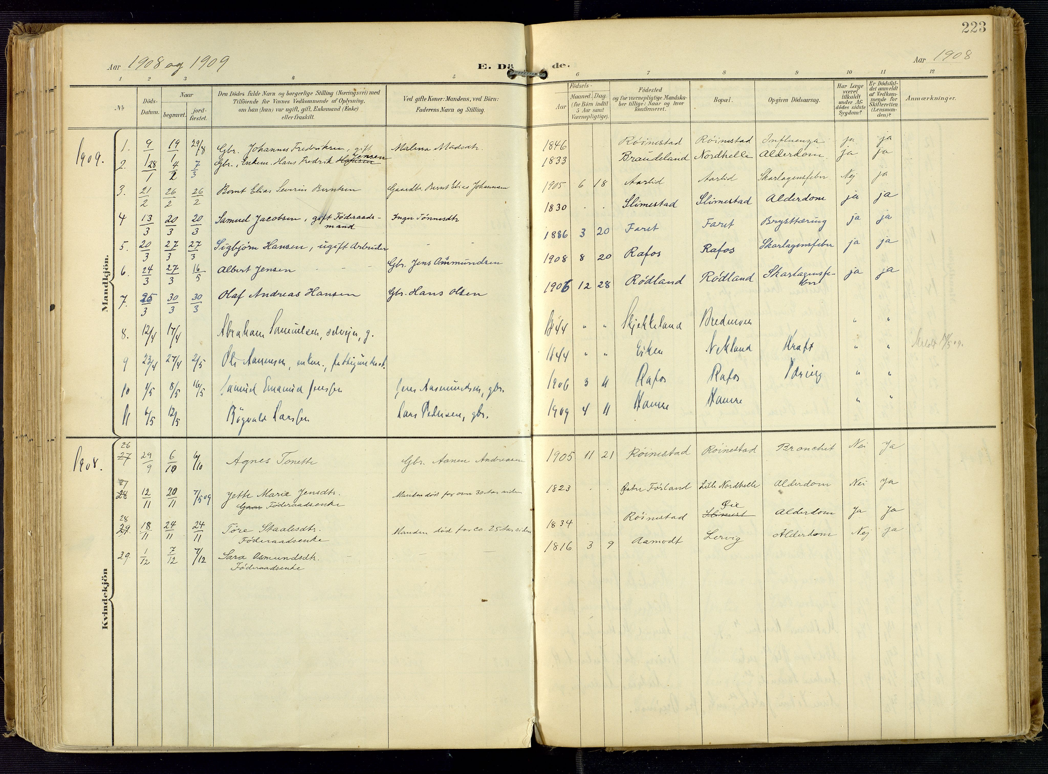 Kvinesdal sokneprestkontor, AV/SAK-1111-0026/F/Fa/Fab/L0009: Parish register (official) no. A 9, 1898-1915, p. 223