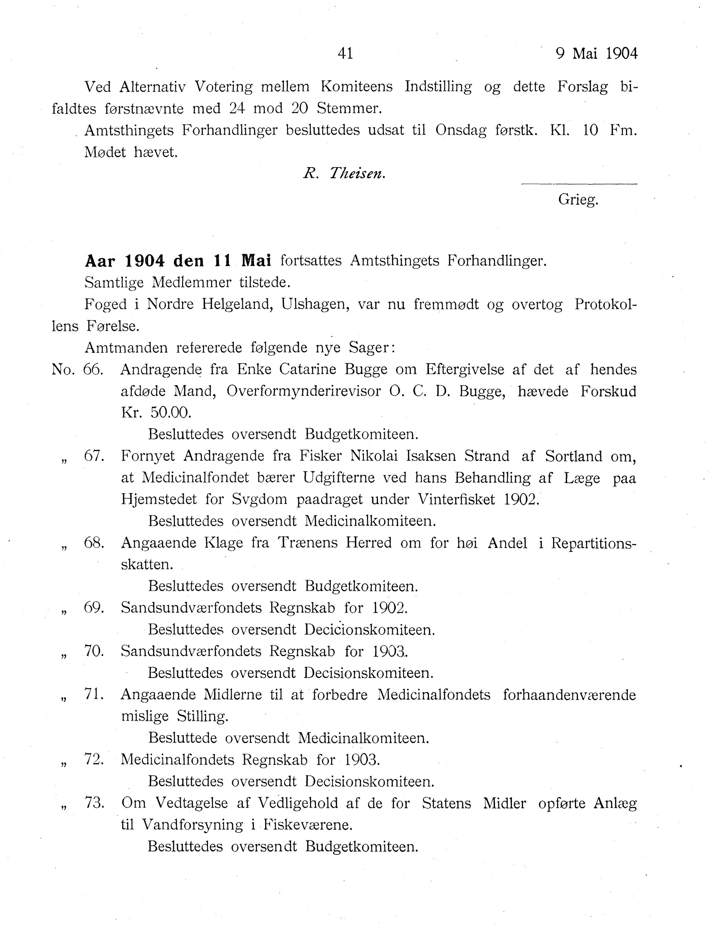 Nordland Fylkeskommune. Fylkestinget, AIN/NFK-17/176/A/Ac/L0027: Fylkestingsforhandlinger 1904, 1904, p. 41