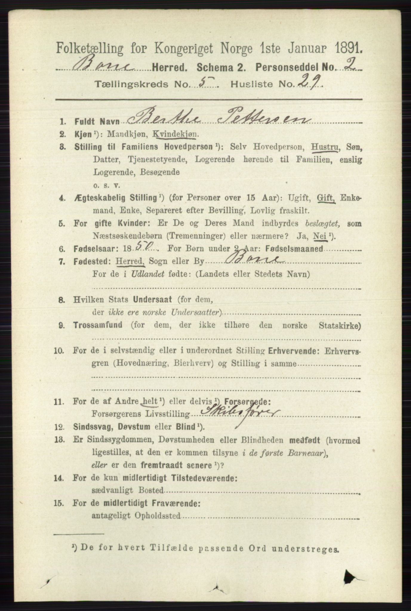 RA, 1891 census for 0717 Borre, 1891, p. 2195