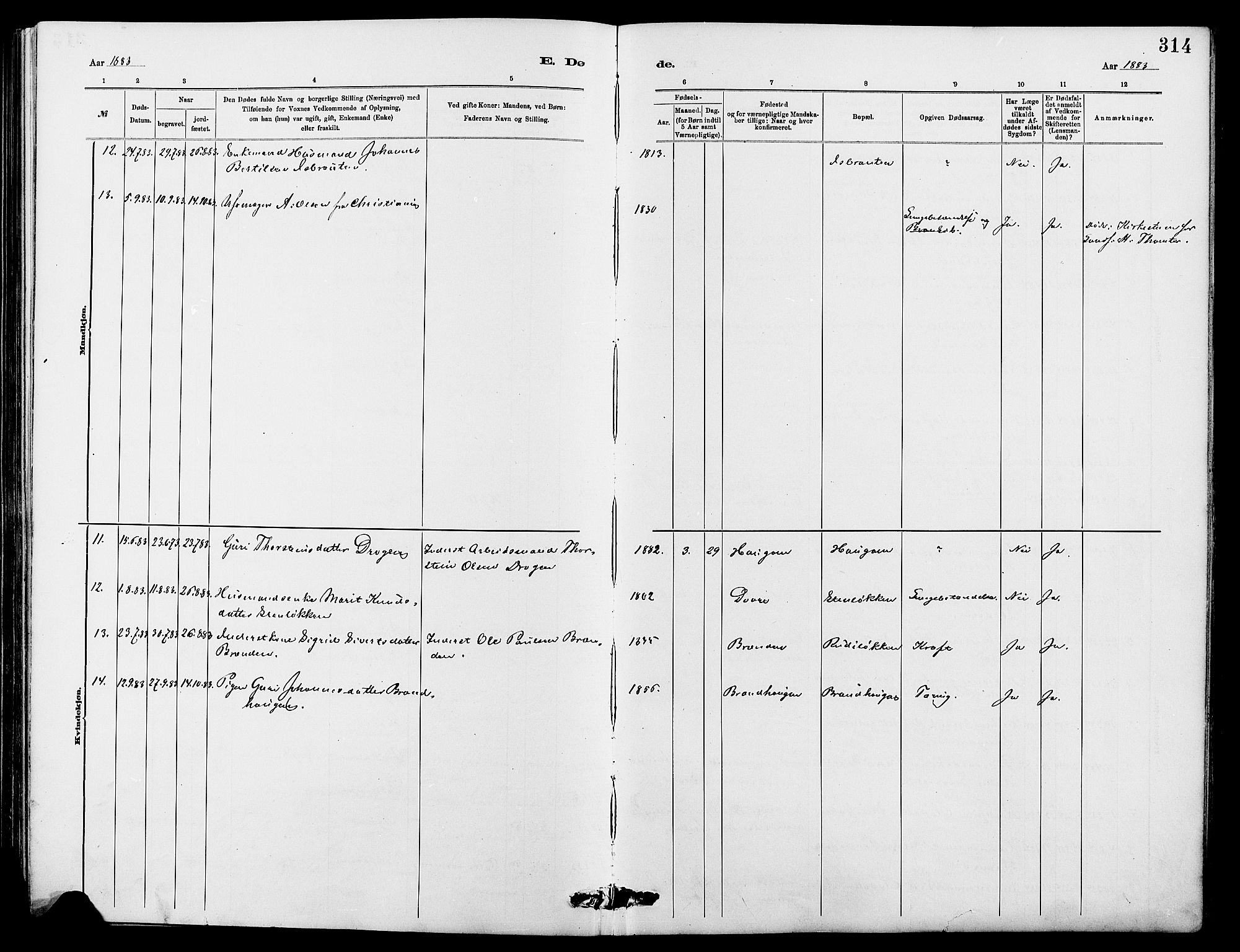 Dovre prestekontor, SAH/PREST-066/H/Ha/Hab/L0002: Parish register (copy) no. 2, 1881-1907, p. 314