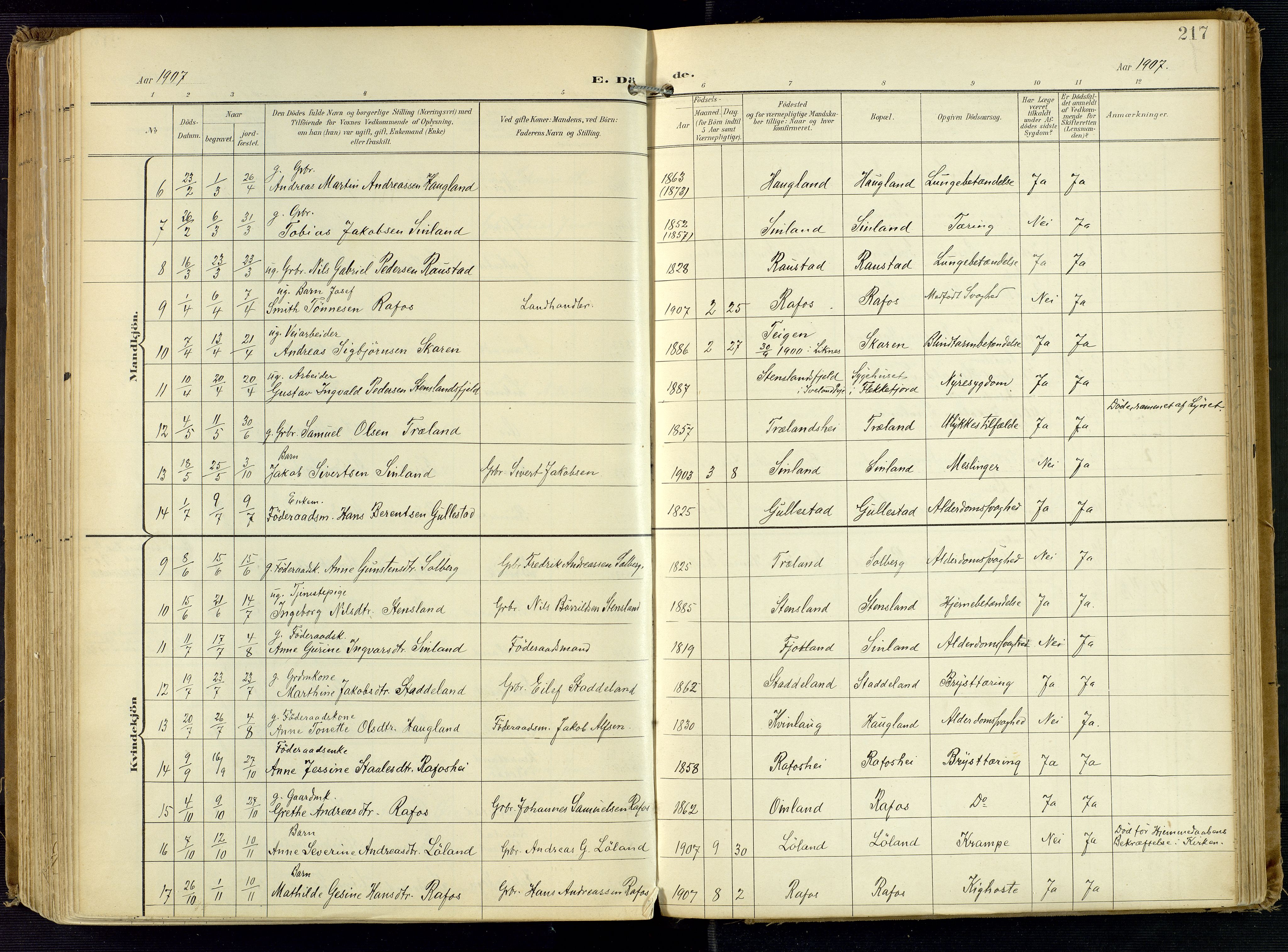 Kvinesdal sokneprestkontor, AV/SAK-1111-0026/F/Fa/Fab/L0009: Parish register (official) no. A 9, 1898-1915, p. 217