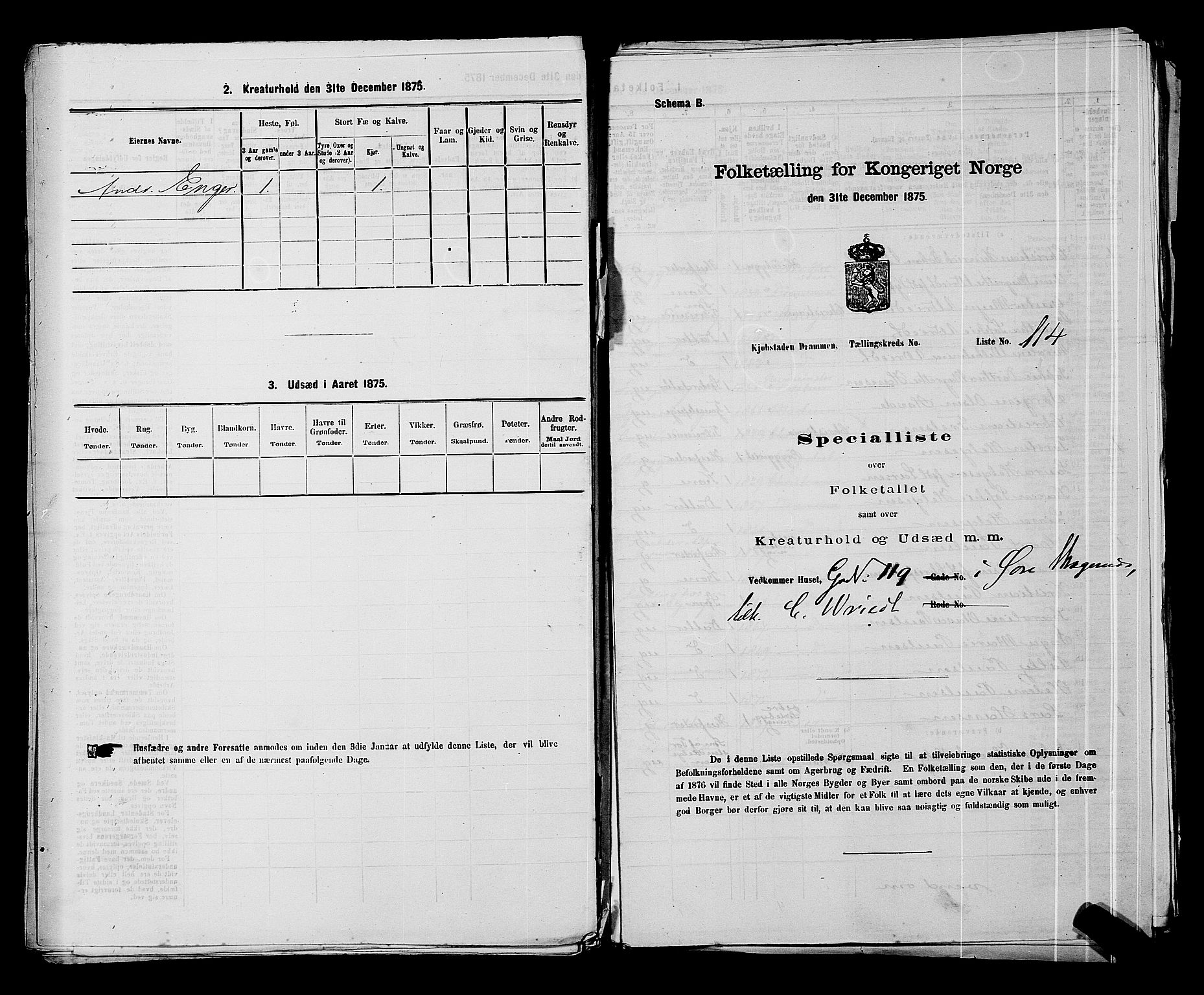 SAKO, 1875 census for 0602 Drammen, 1875, p. 357