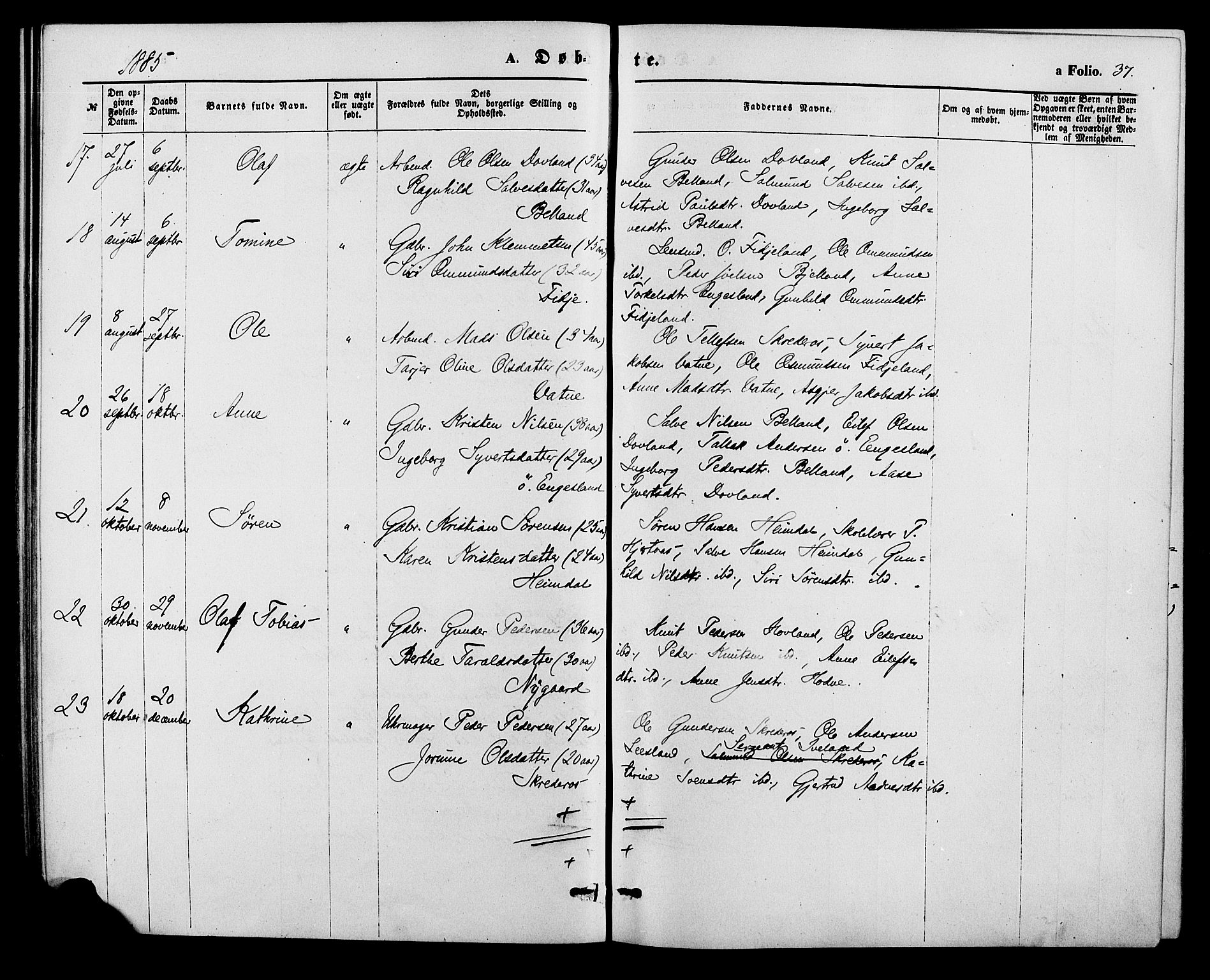 Herefoss sokneprestkontor, SAK/1111-0019/F/Fa/Fab/L0003: Parish register (official) no. A 3, 1875-1886, p. 37