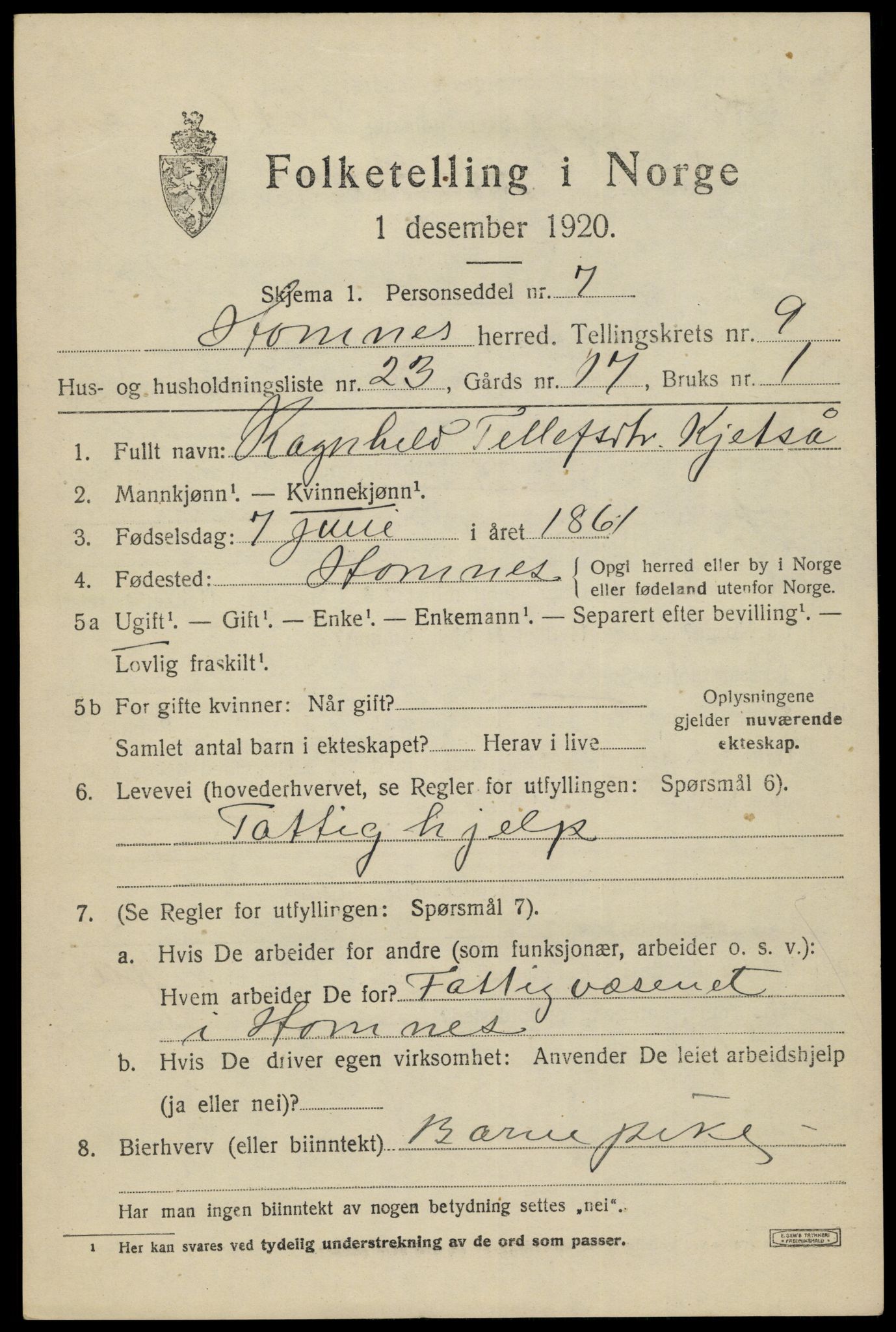 SAK, 1920 census for Hornnes, 1920, p. 2483