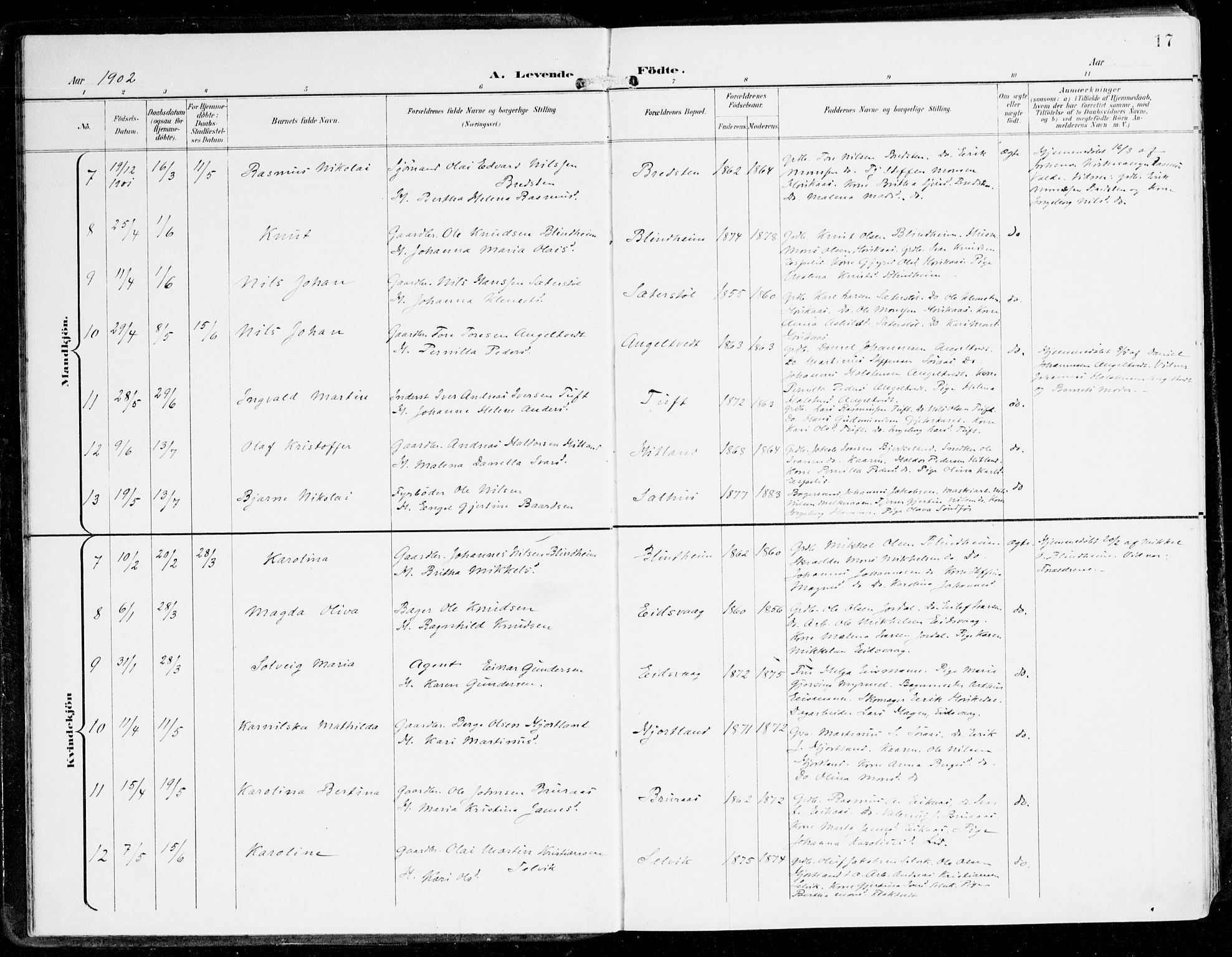 Hamre sokneprestembete, AV/SAB-A-75501/H/Ha/Haa/Haad/L0002: Parish register (official) no. D 2, 1899-1916, p. 17