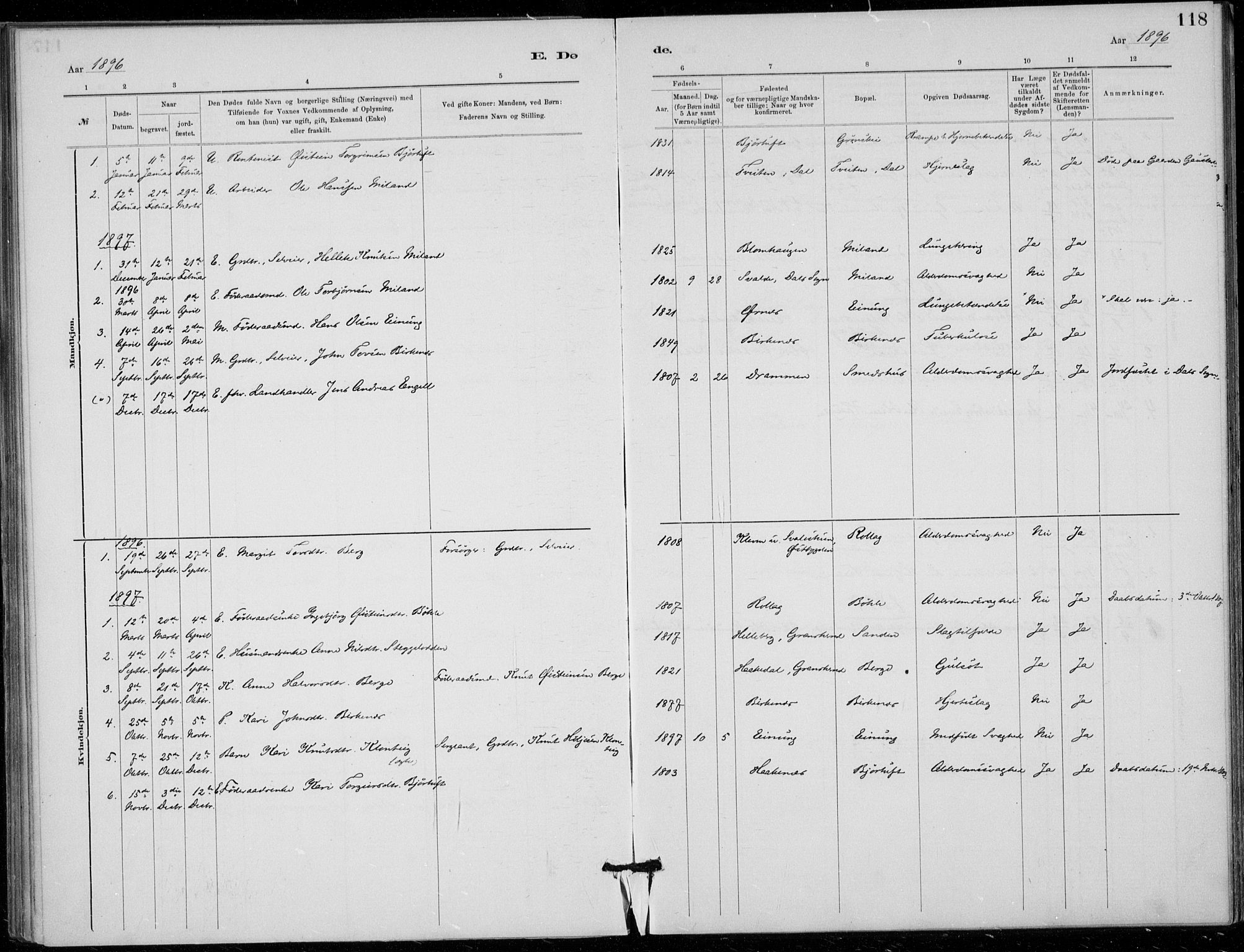 Tinn kirkebøker, SAKO/A-308/F/Fb/L0002: Parish register (official) no. II 2, 1878-1917, p. 118