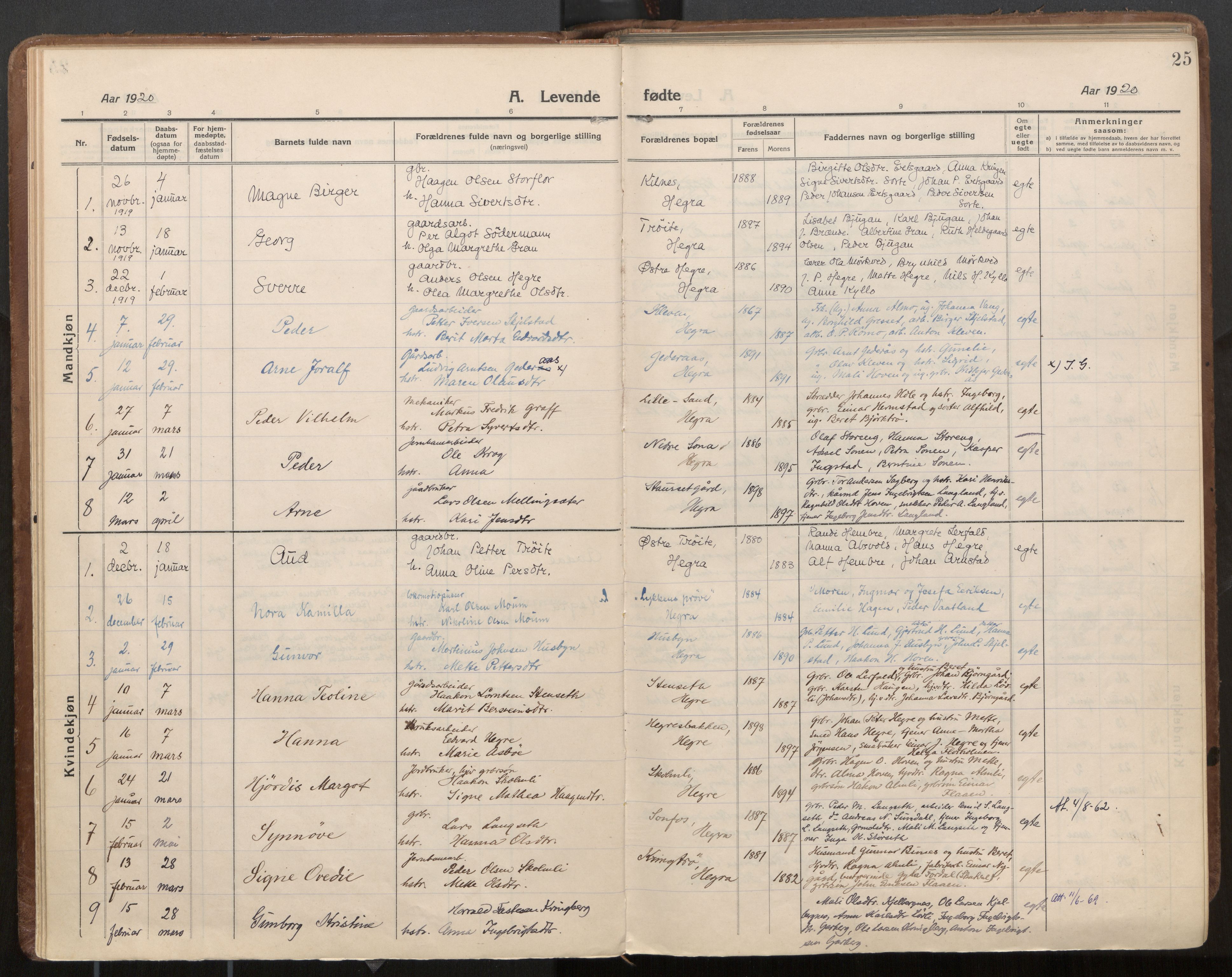 Ministerialprotokoller, klokkerbøker og fødselsregistre - Nord-Trøndelag, AV/SAT-A-1458/703/L0037: Parish register (official) no. 703A10, 1915-1932, p. 25