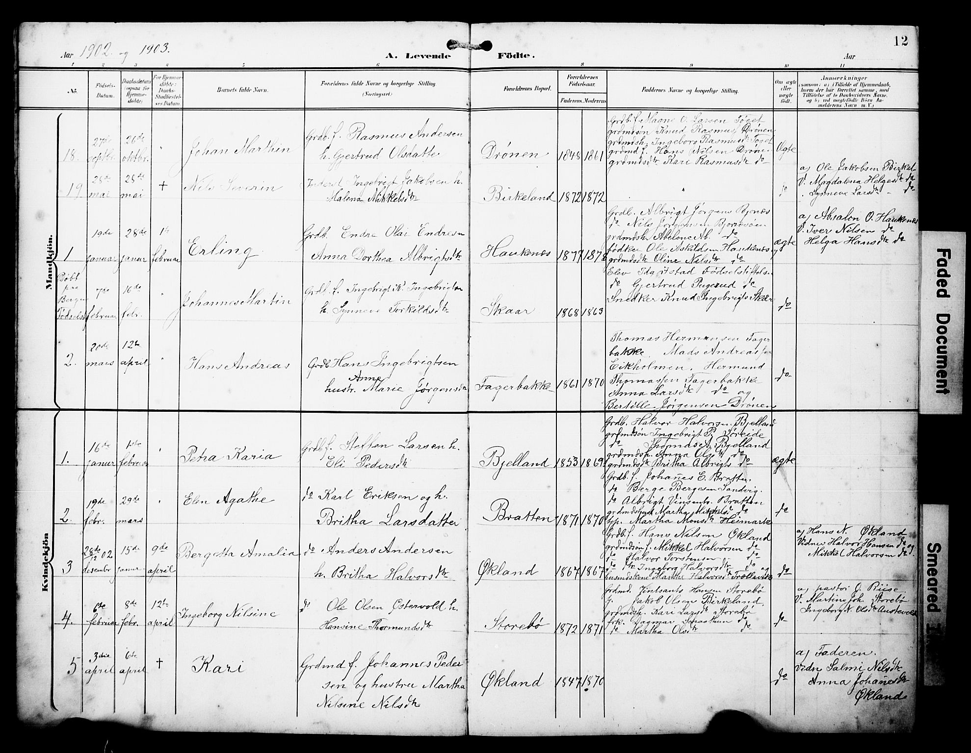 Austevoll Sokneprestembete, SAB/A-74201/H/Hab: Parish register (copy) no. A 4, 1901-1912, p. 12