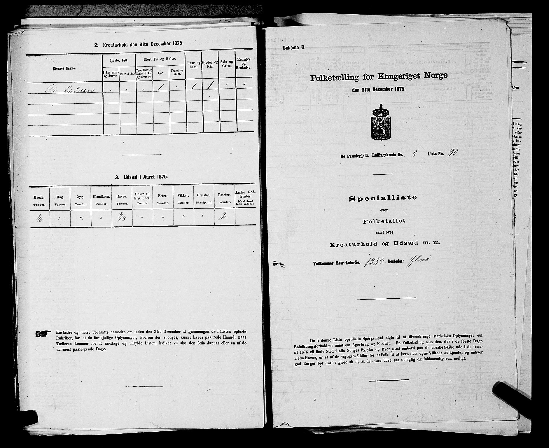 SAKO, 1875 census for 0821P Bø, 1875, p. 780