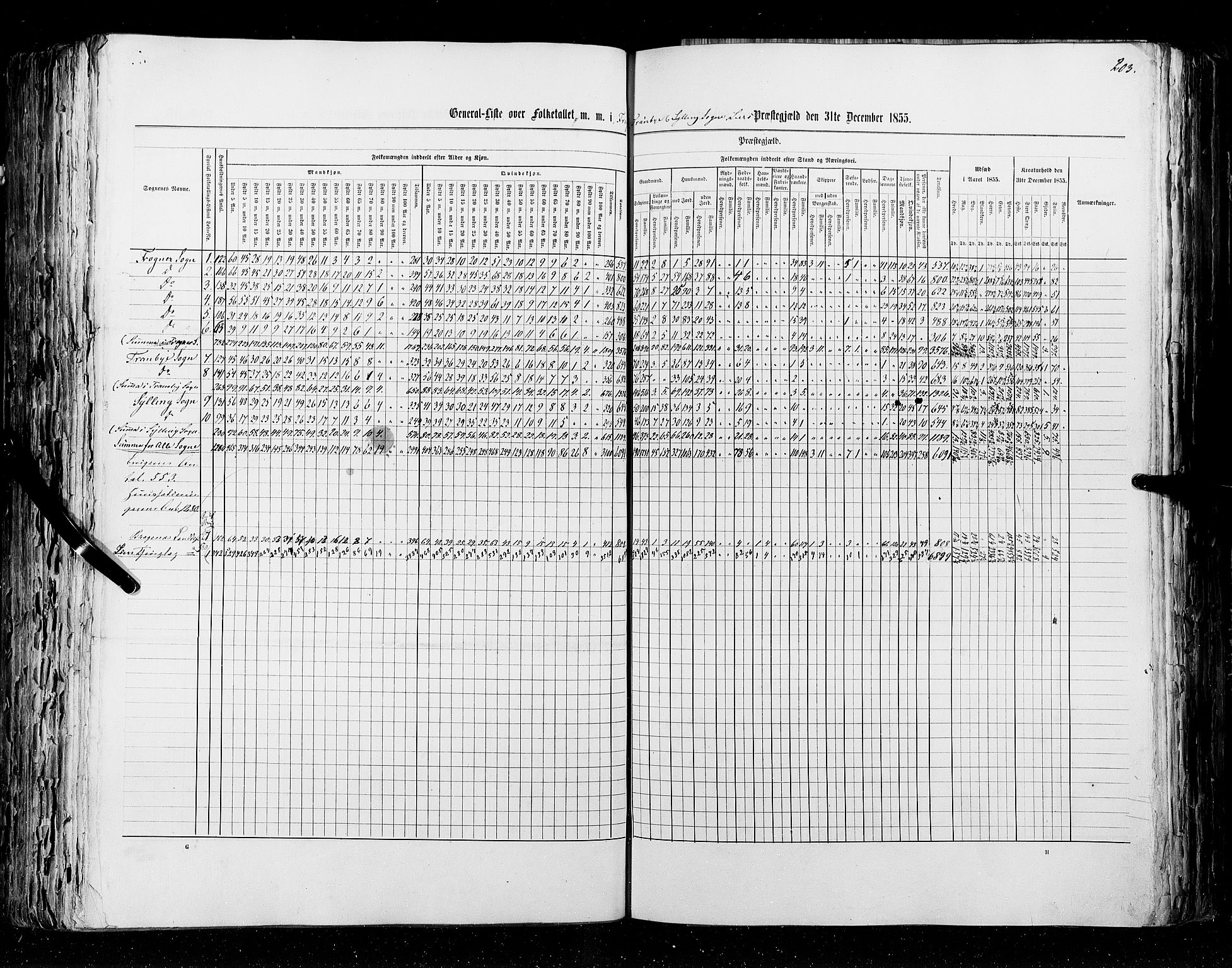 RA, Census 1855, vol. 2: Kristians amt, Buskerud amt og Jarlsberg og Larvik amt, 1855, p. 203