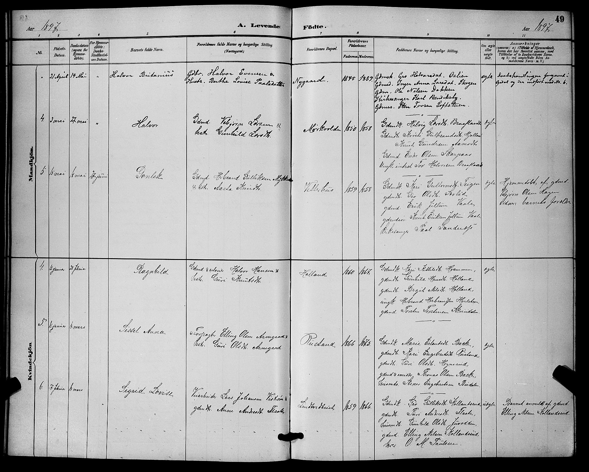 Nore kirkebøker, SAKO/A-238/G/Ga/L0003: Parish register (copy) no. I 3, 1886-1903, p. 49
