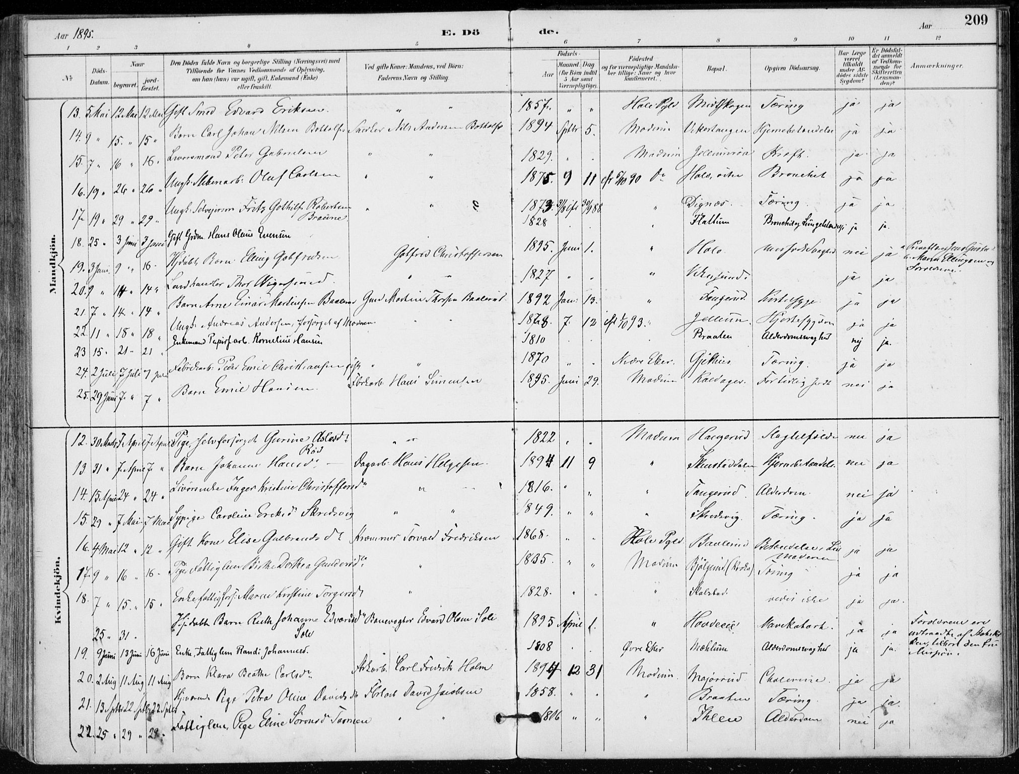 Modum kirkebøker, AV/SAKO-A-234/F/Fa/L0012: Parish register (official) no. 12, 1890-1898, p. 209