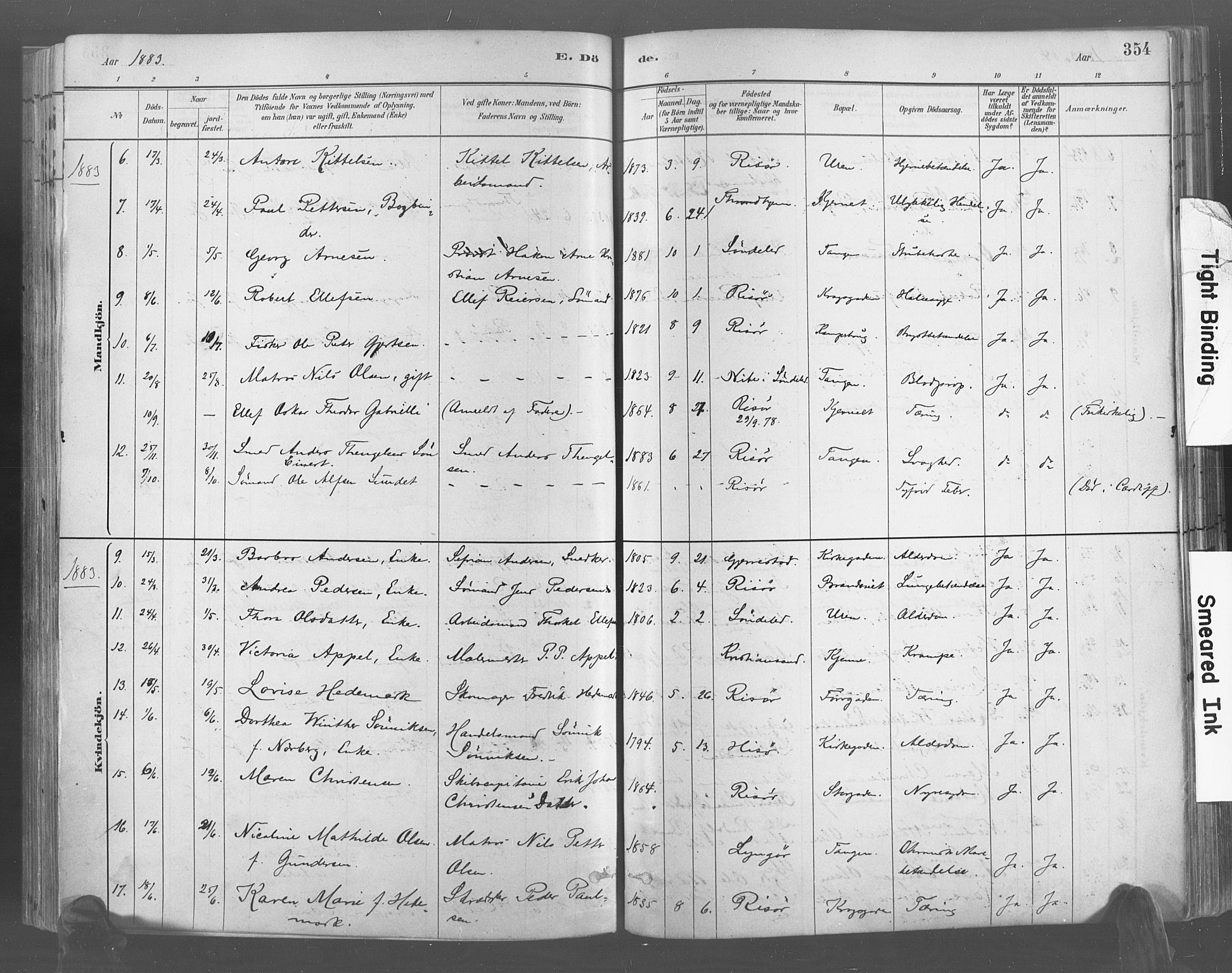 Risør sokneprestkontor, AV/SAK-1111-0035/F/Fa/L0005: Parish register (official) no. A 5, 1883-1895, p. 354