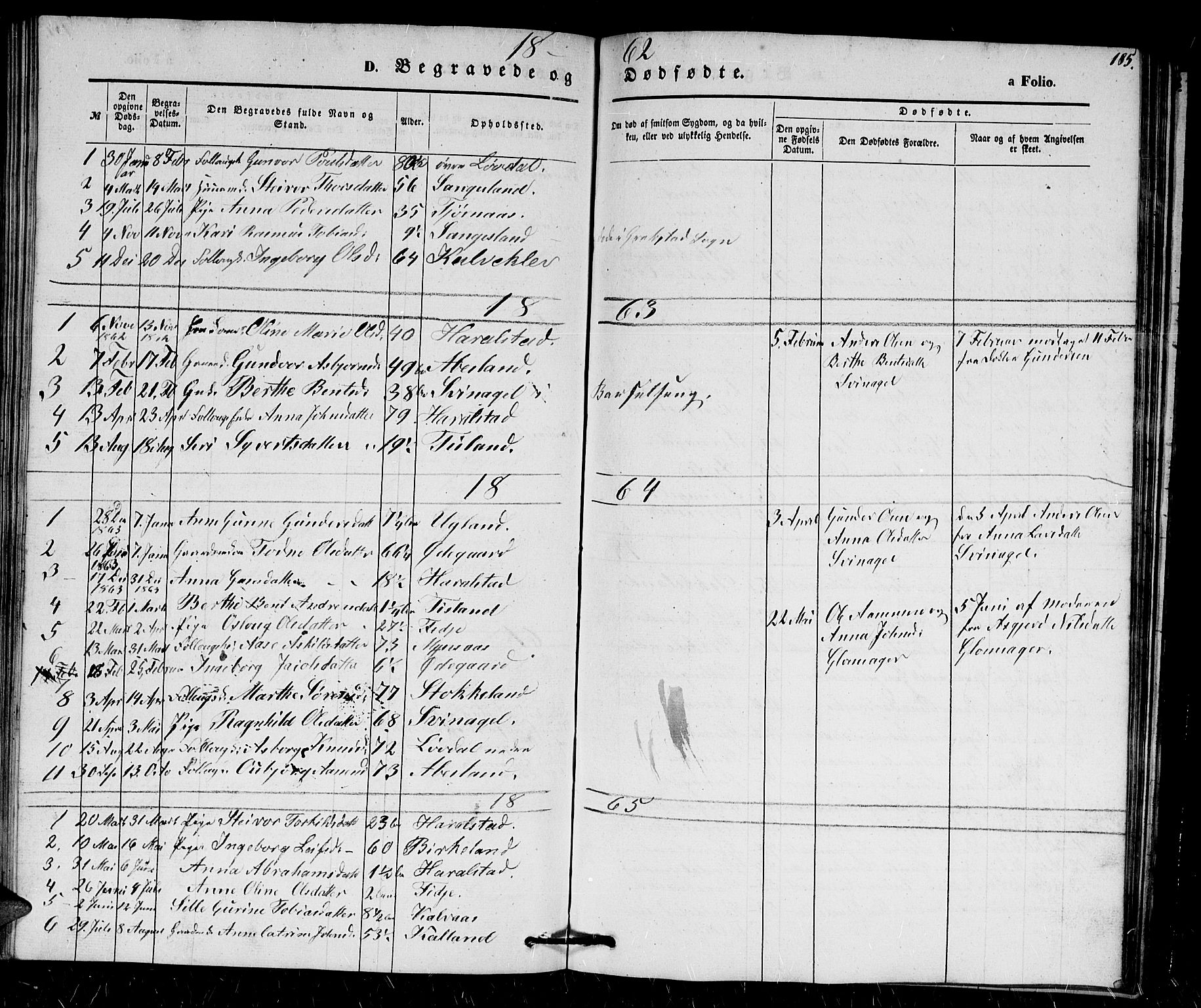 Holum sokneprestkontor, SAK/1111-0022/F/Fb/Fbb/L0002: Parish register (copy) no. B 2, 1847-1874, p. 185