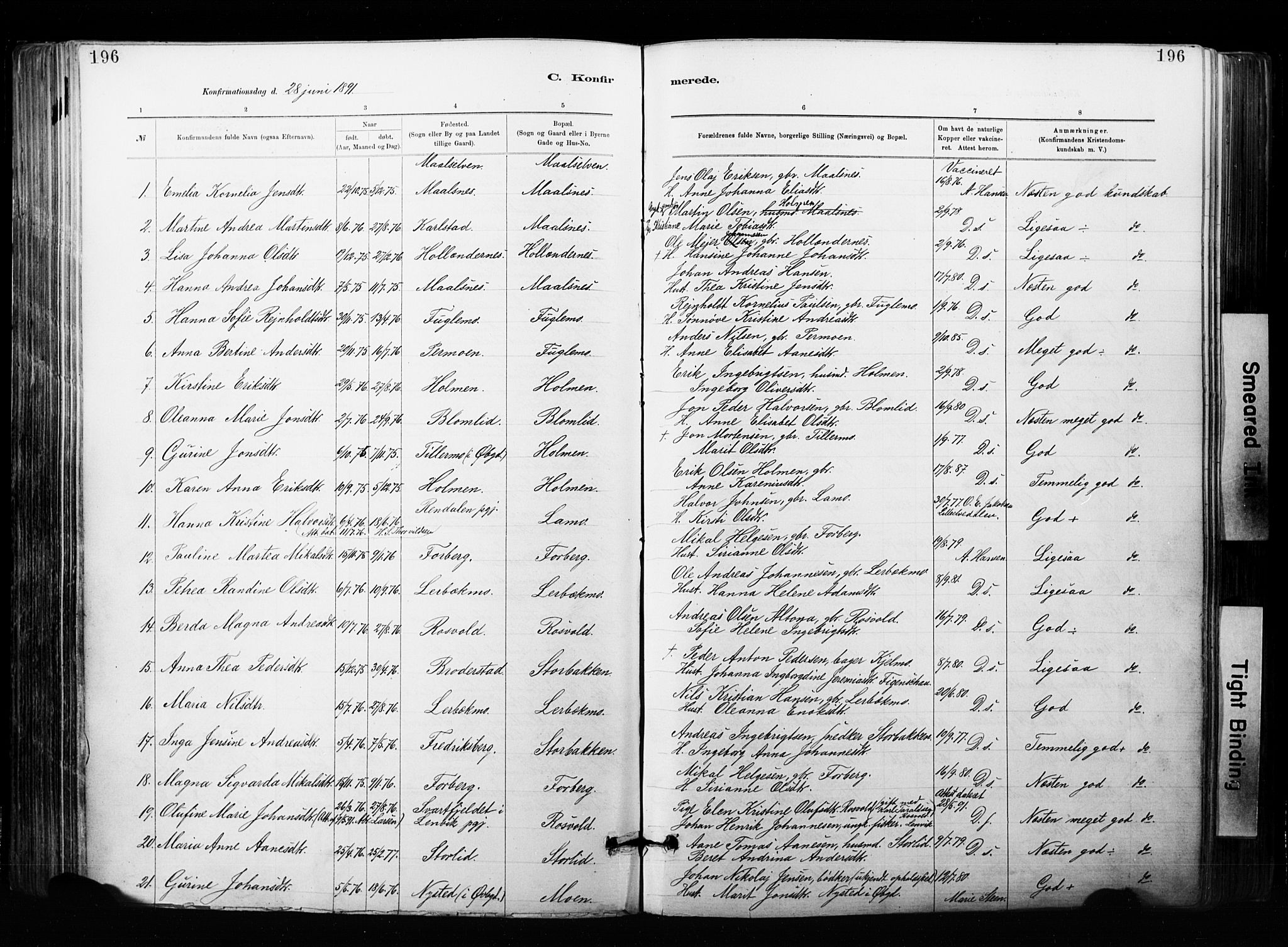 Målselv sokneprestembete, SATØ/S-1311/G/Ga/Gaa/L0007kirke: Parish register (official) no. 7, 1884-1903, p. 196