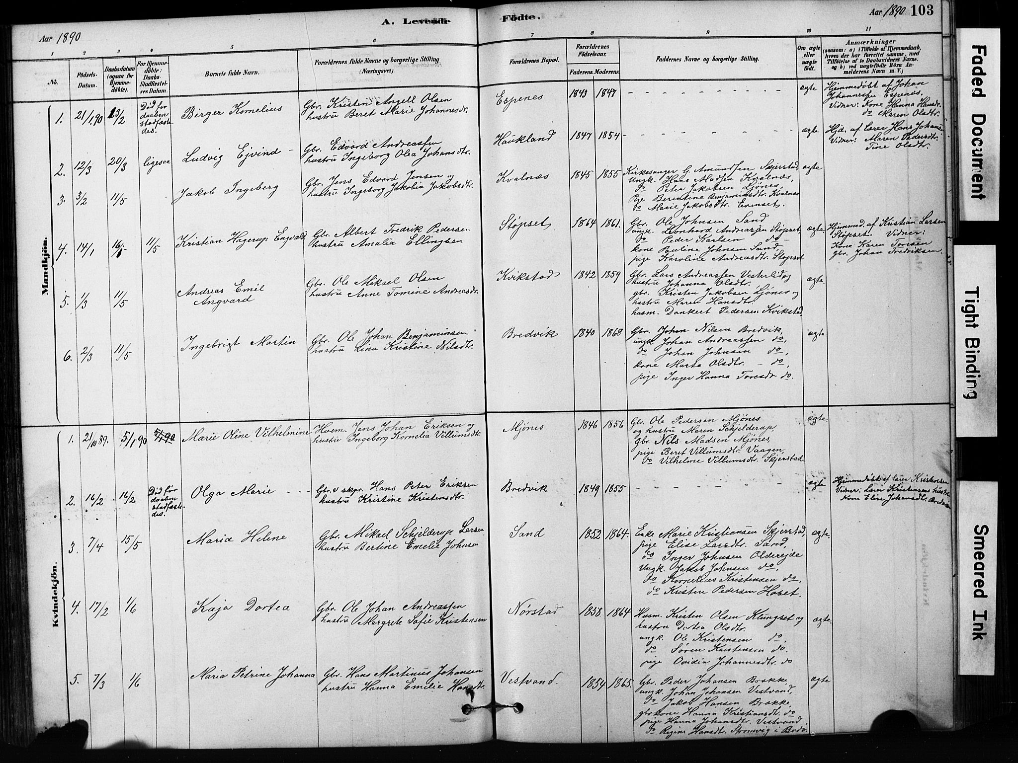 Ministerialprotokoller, klokkerbøker og fødselsregistre - Nordland, SAT/A-1459/852/L0754: Parish register (copy) no. 852C05, 1878-1894, p. 103